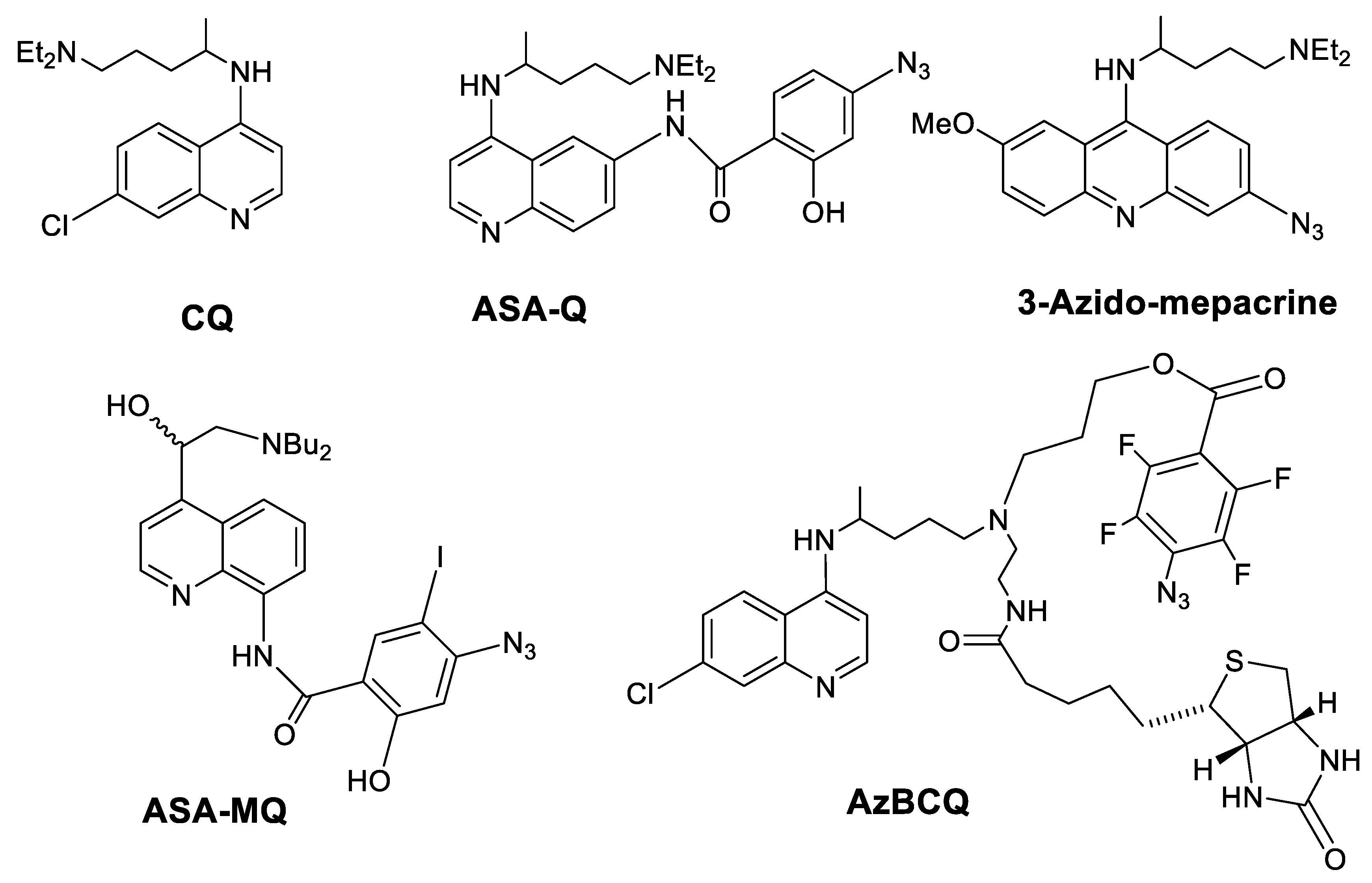 Molecules 29 01084 g001