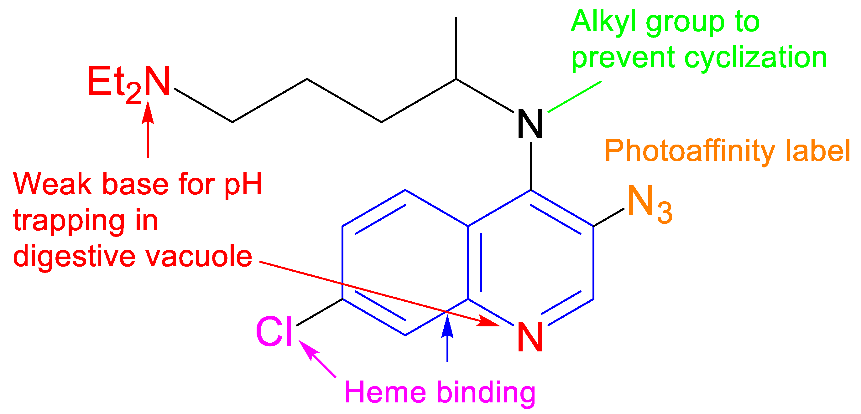 Molecules 29 01084 g002