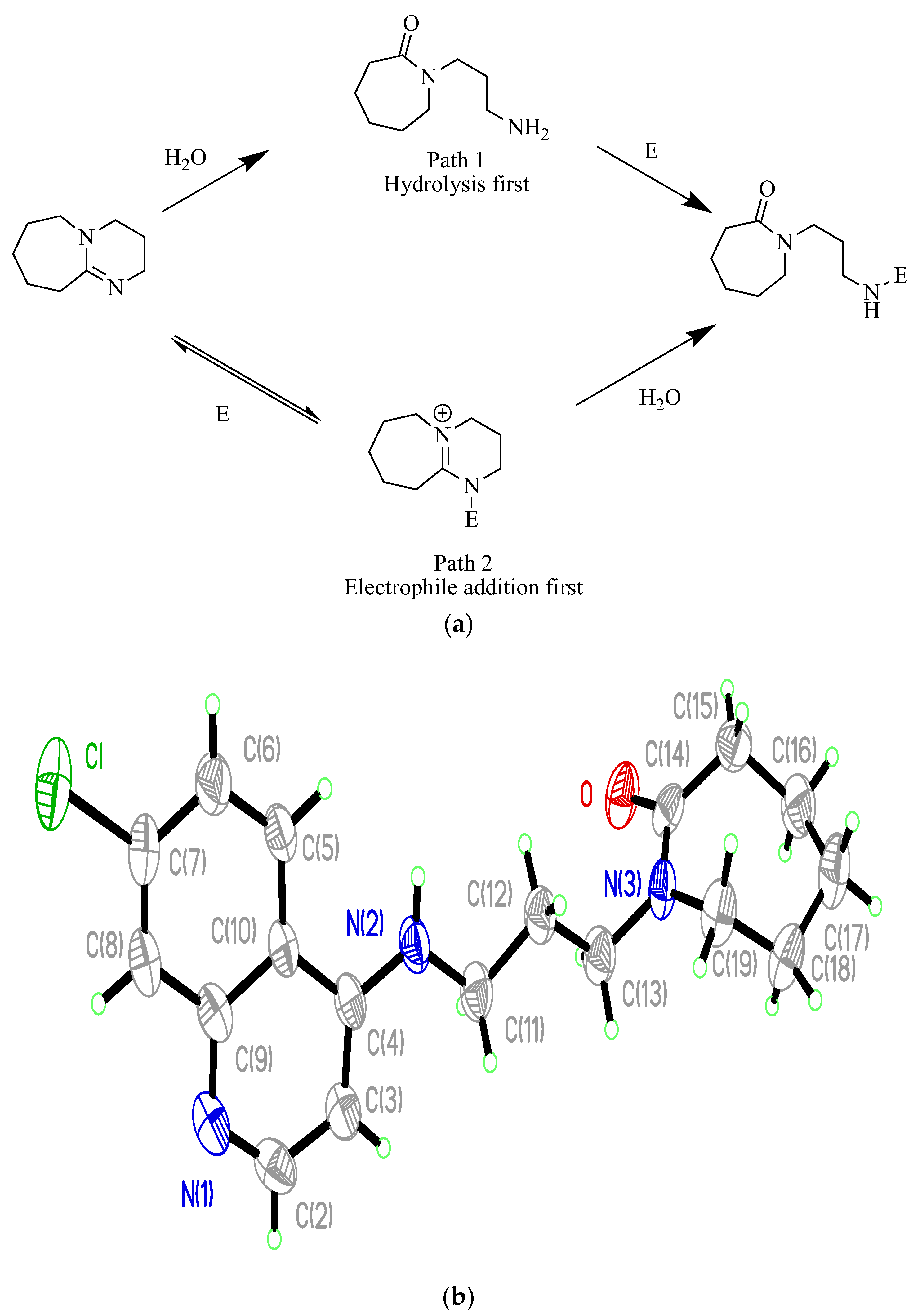 Molecules 29 01084 sch004