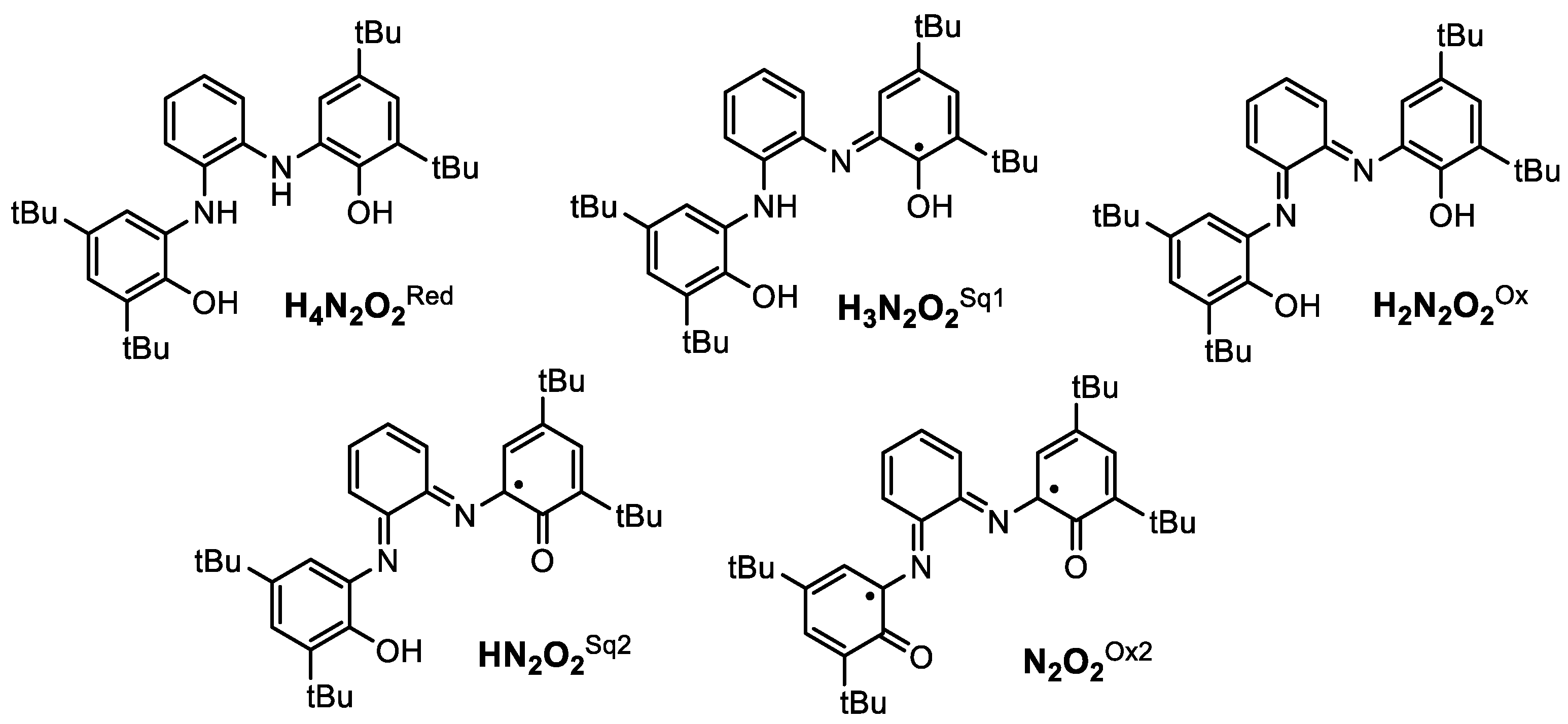 Molecules 29 01088 g003