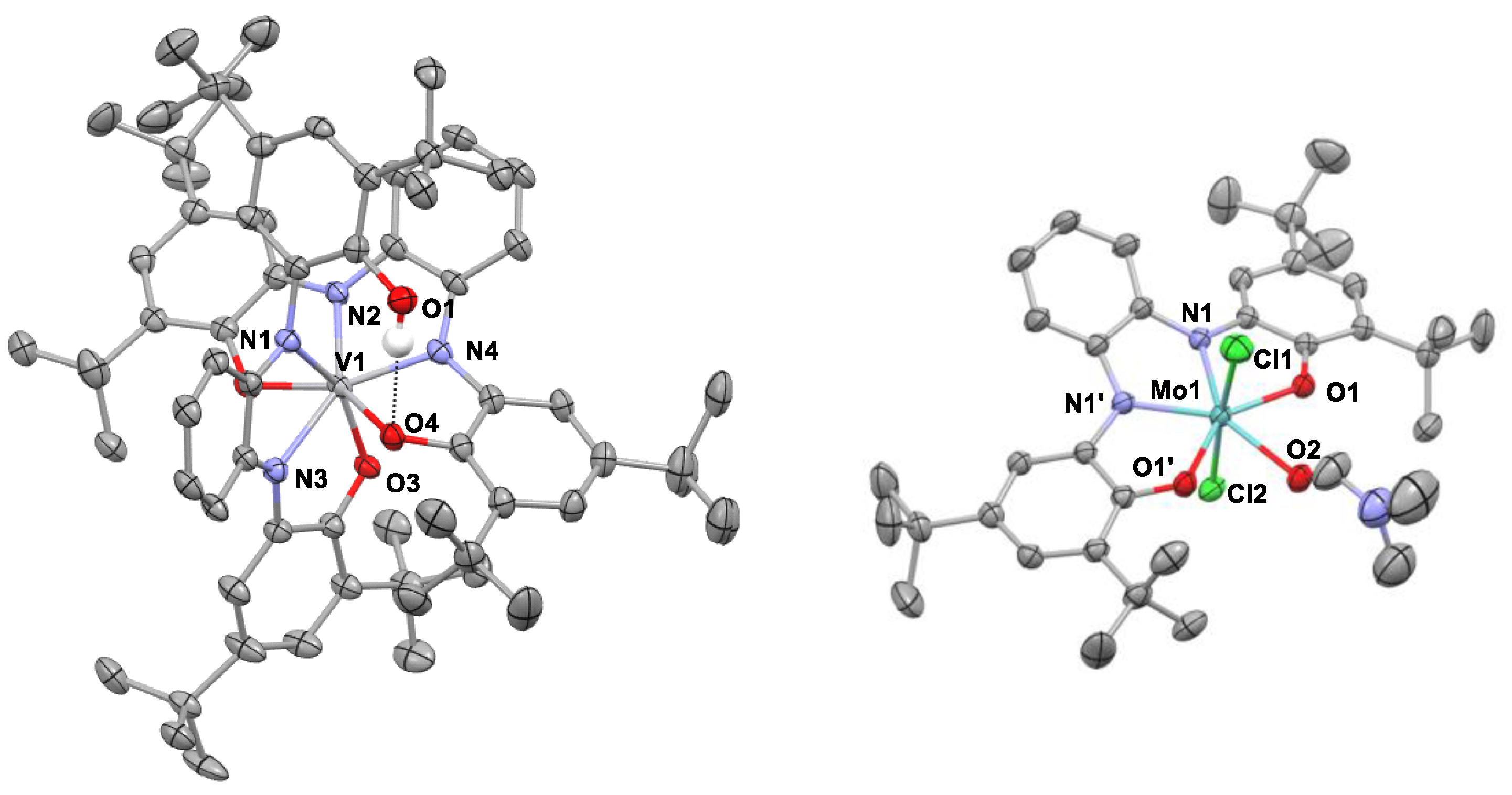 Molecules 29 01088 g005