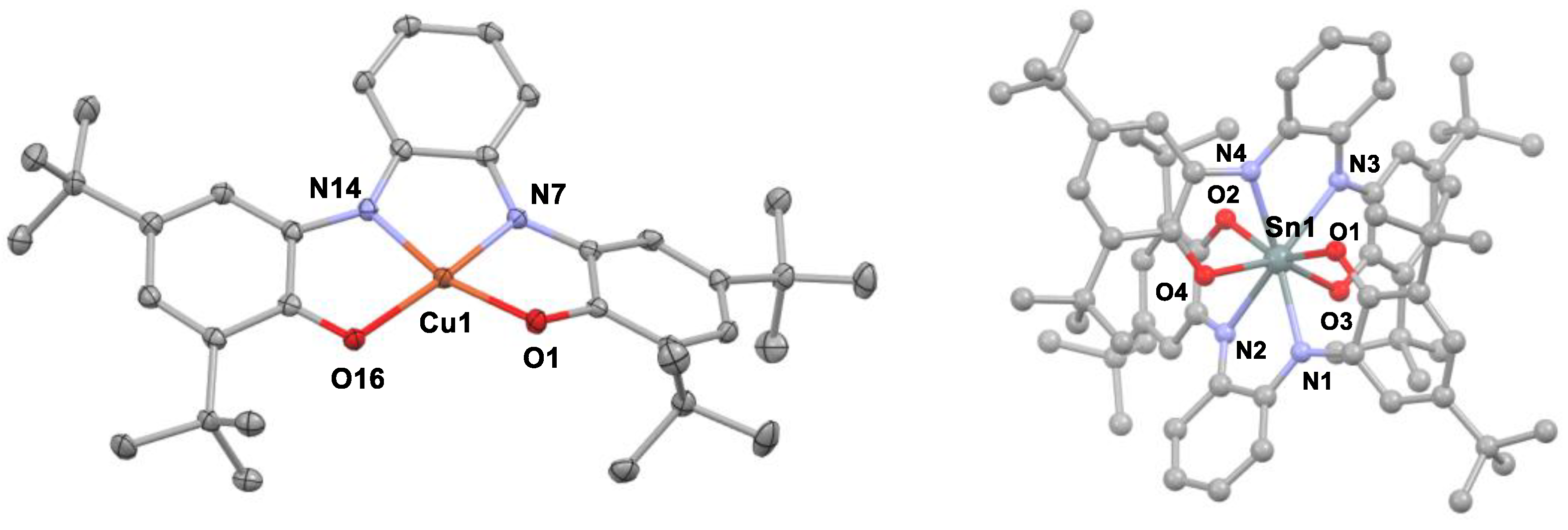 Molecules 29 01088 g007