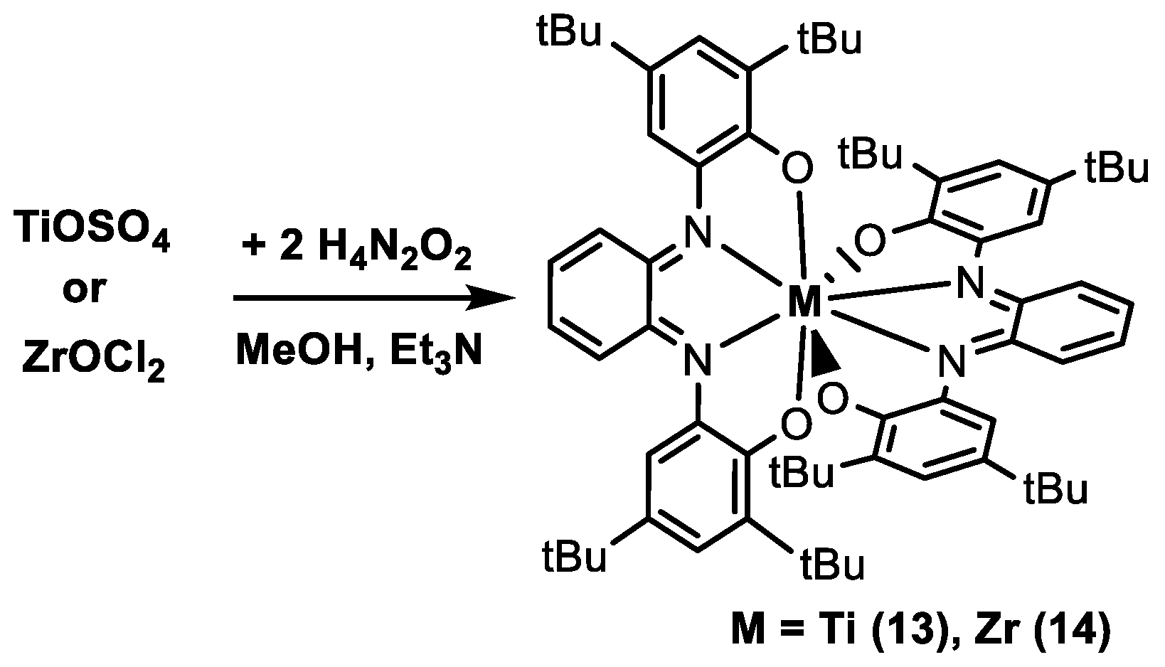 Molecules 29 01088 sch004