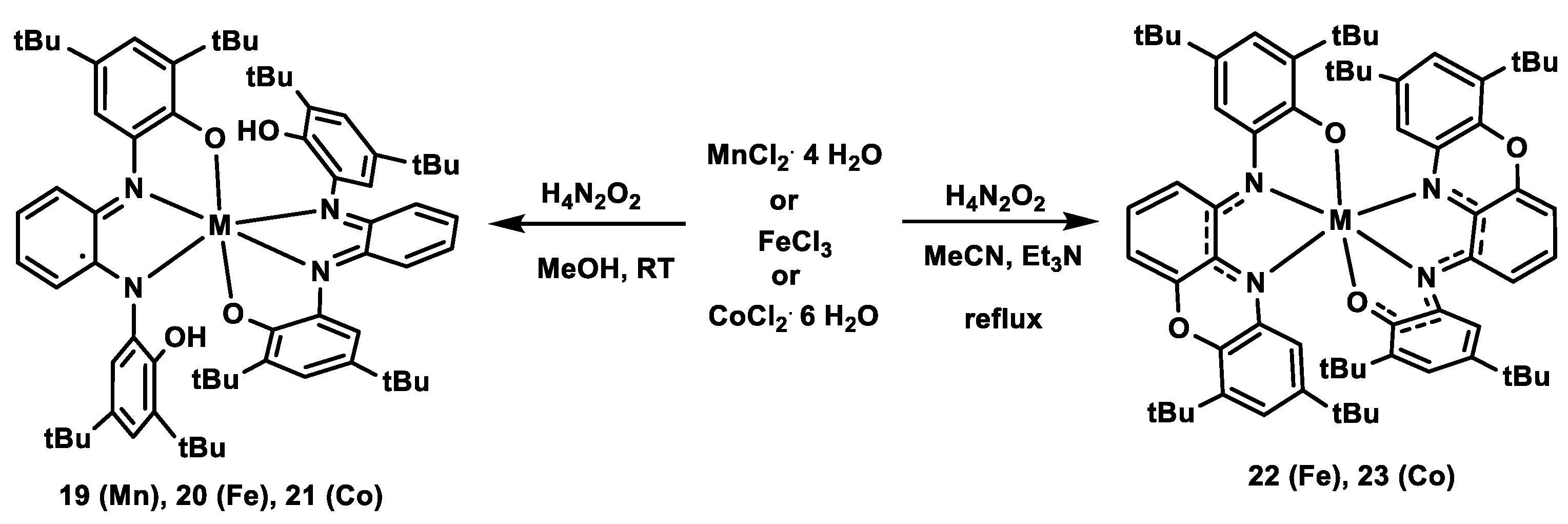 Molecules 29 01088 sch007