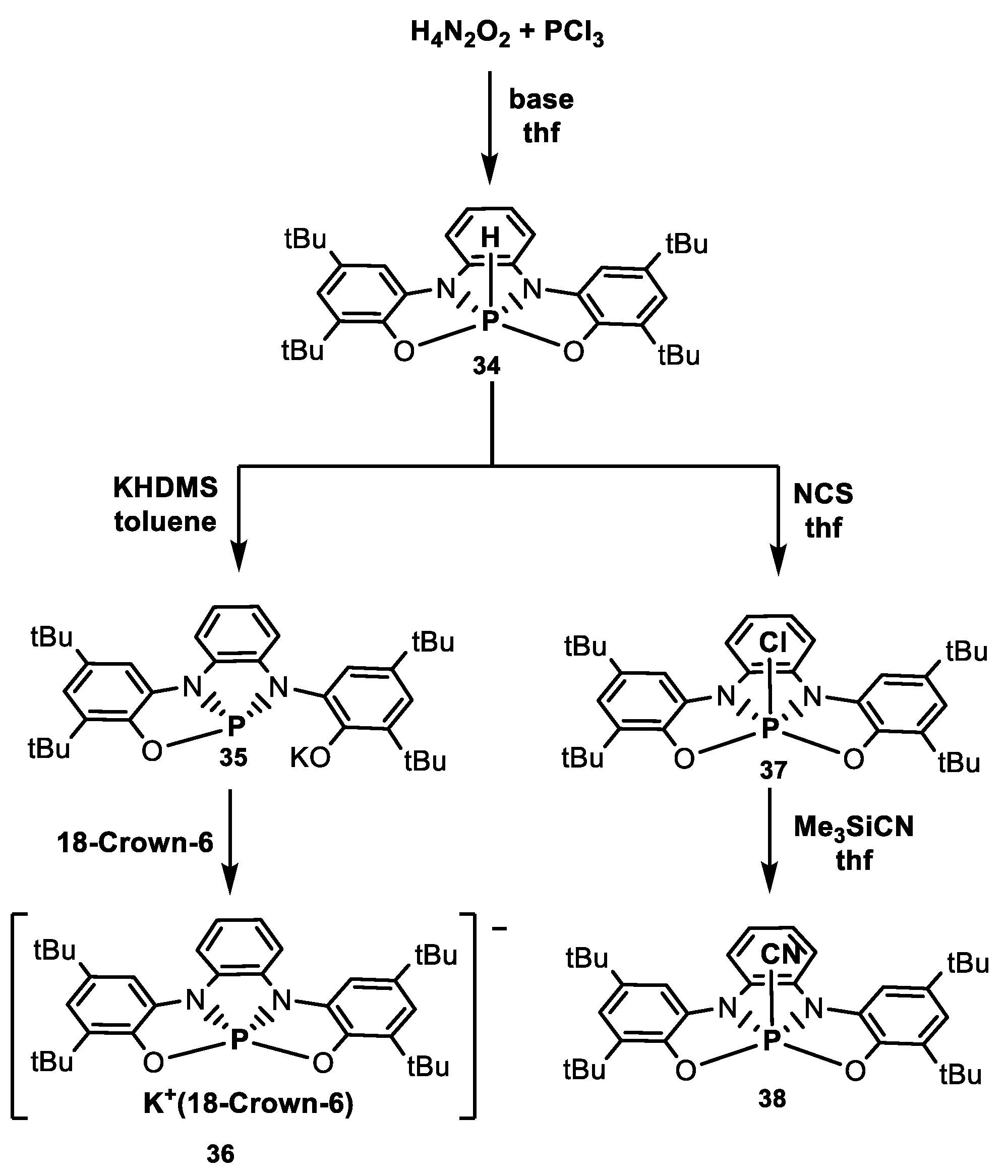 Molecules 29 01088 sch010