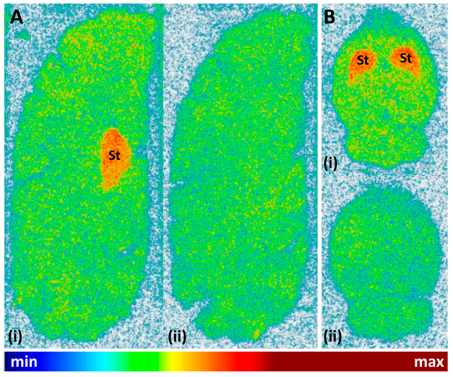 Molecules 29 01089 g009