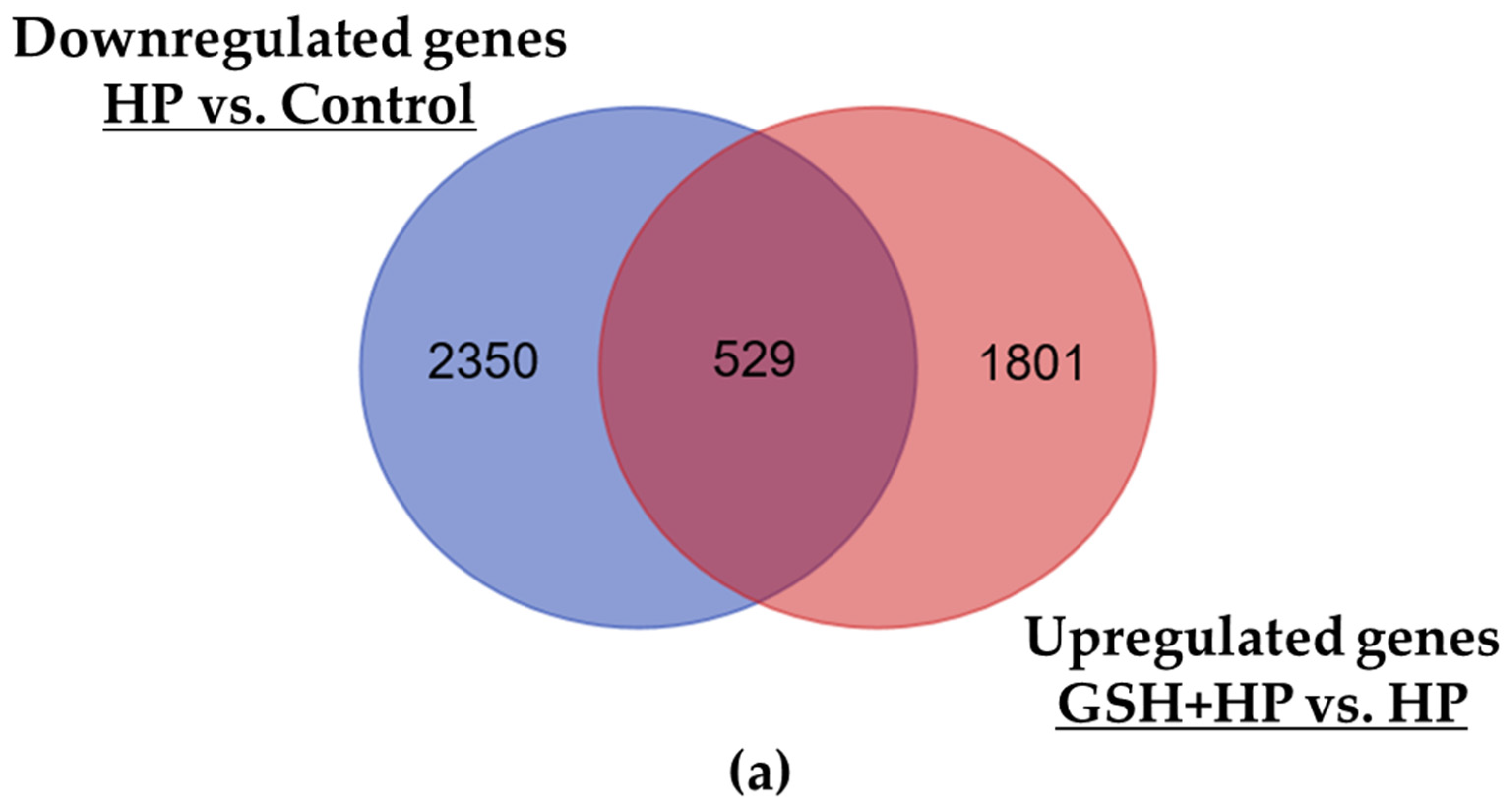 Molecules 29 01090 g005a