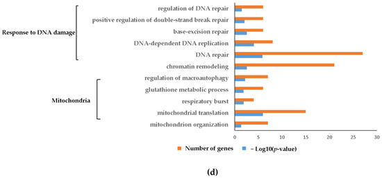 glutathione dna repair A fruitful liaison of ZSCAN10 and ROS on the road to rejuvenation main image 1