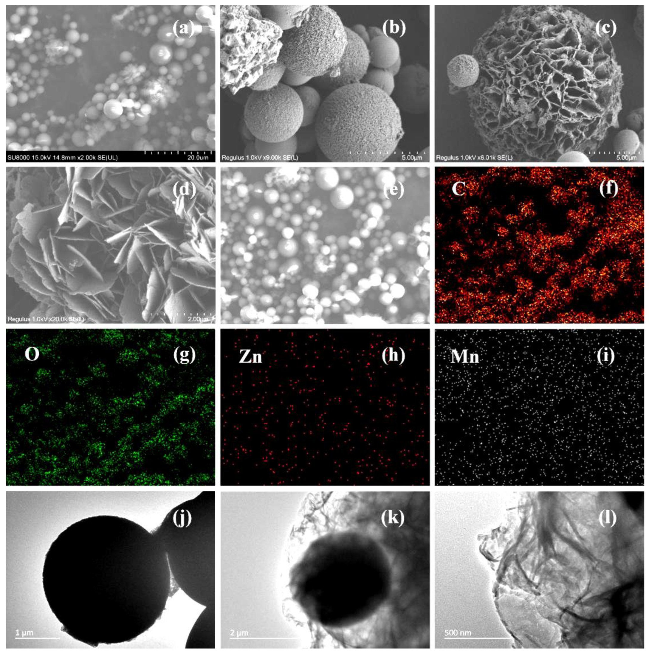 Molecules 29 01094 g002