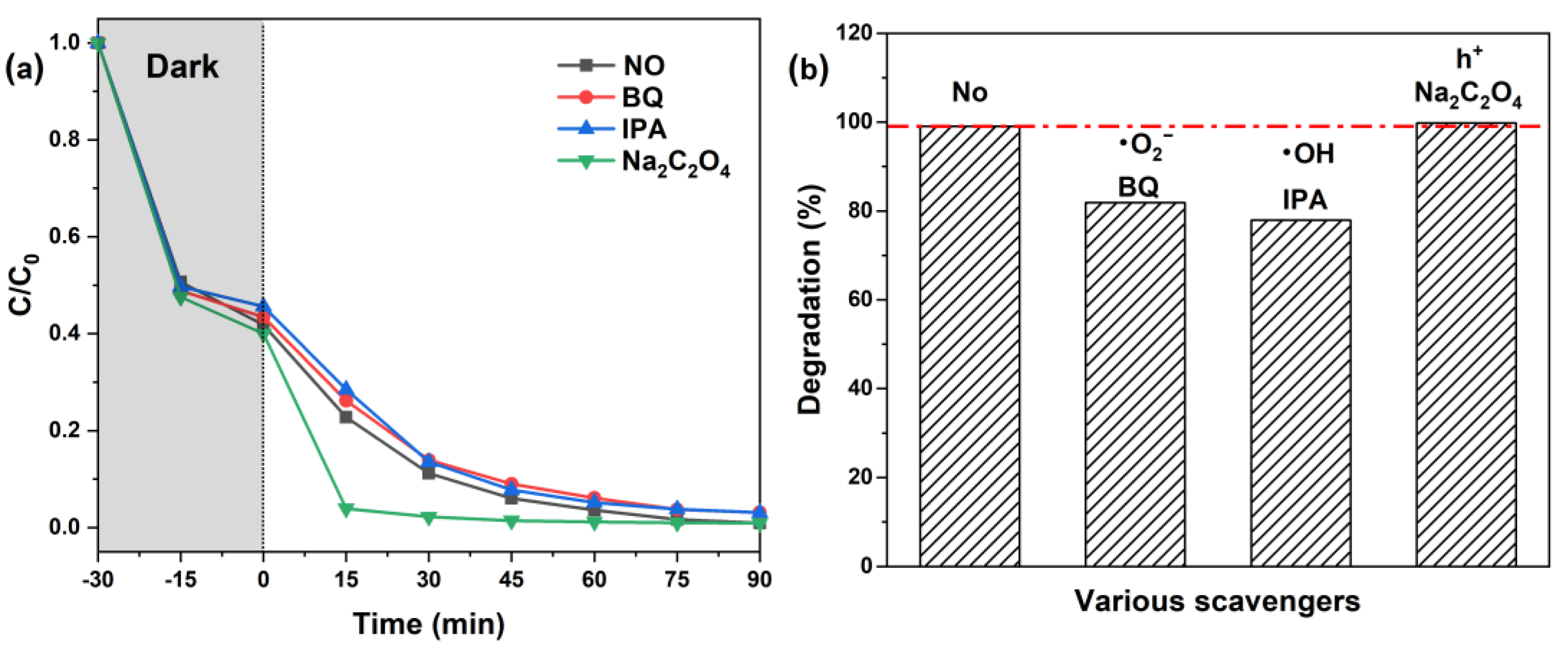 Molecules 29 01094 g008