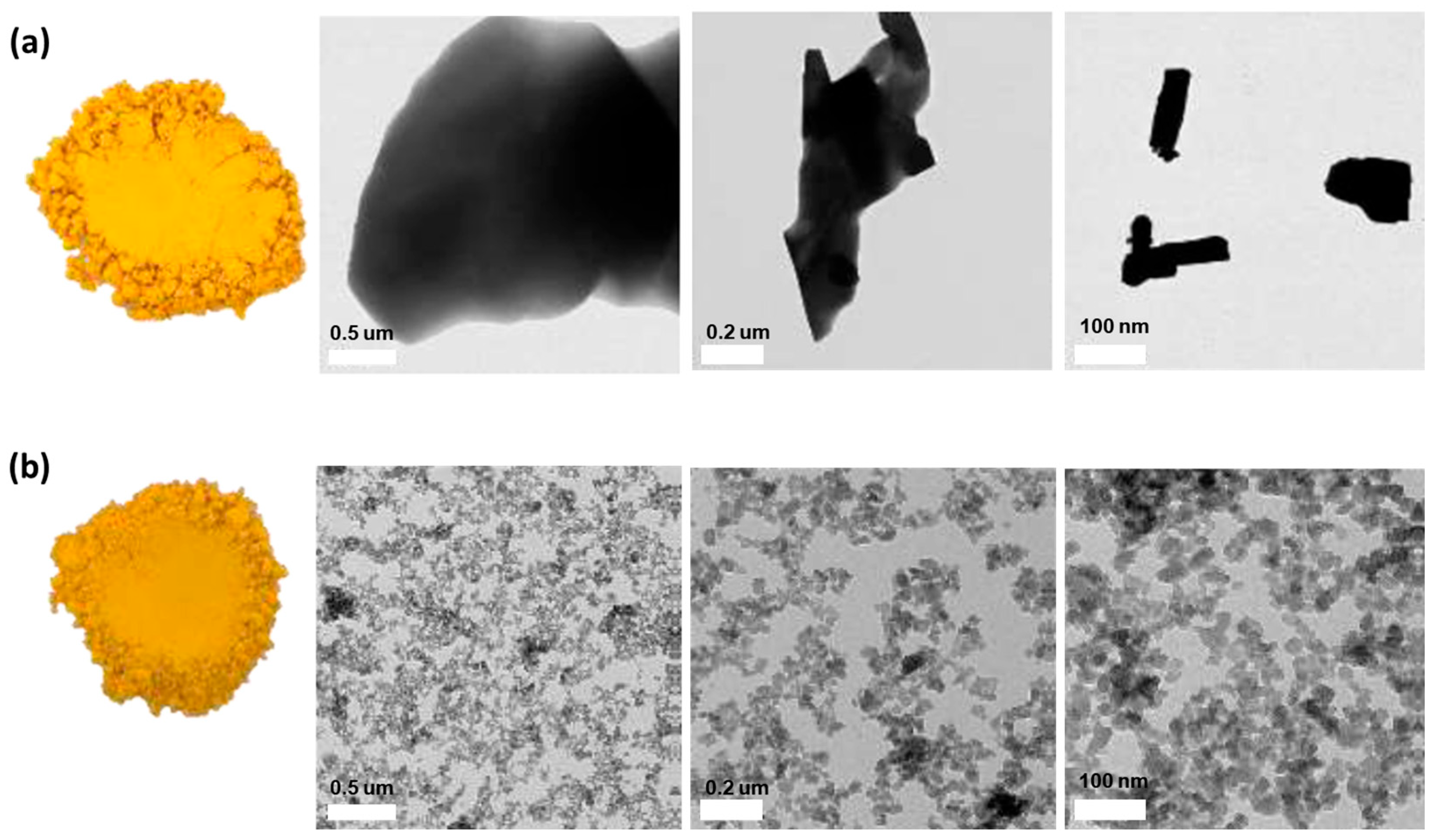 Molecules 29 01100 g005