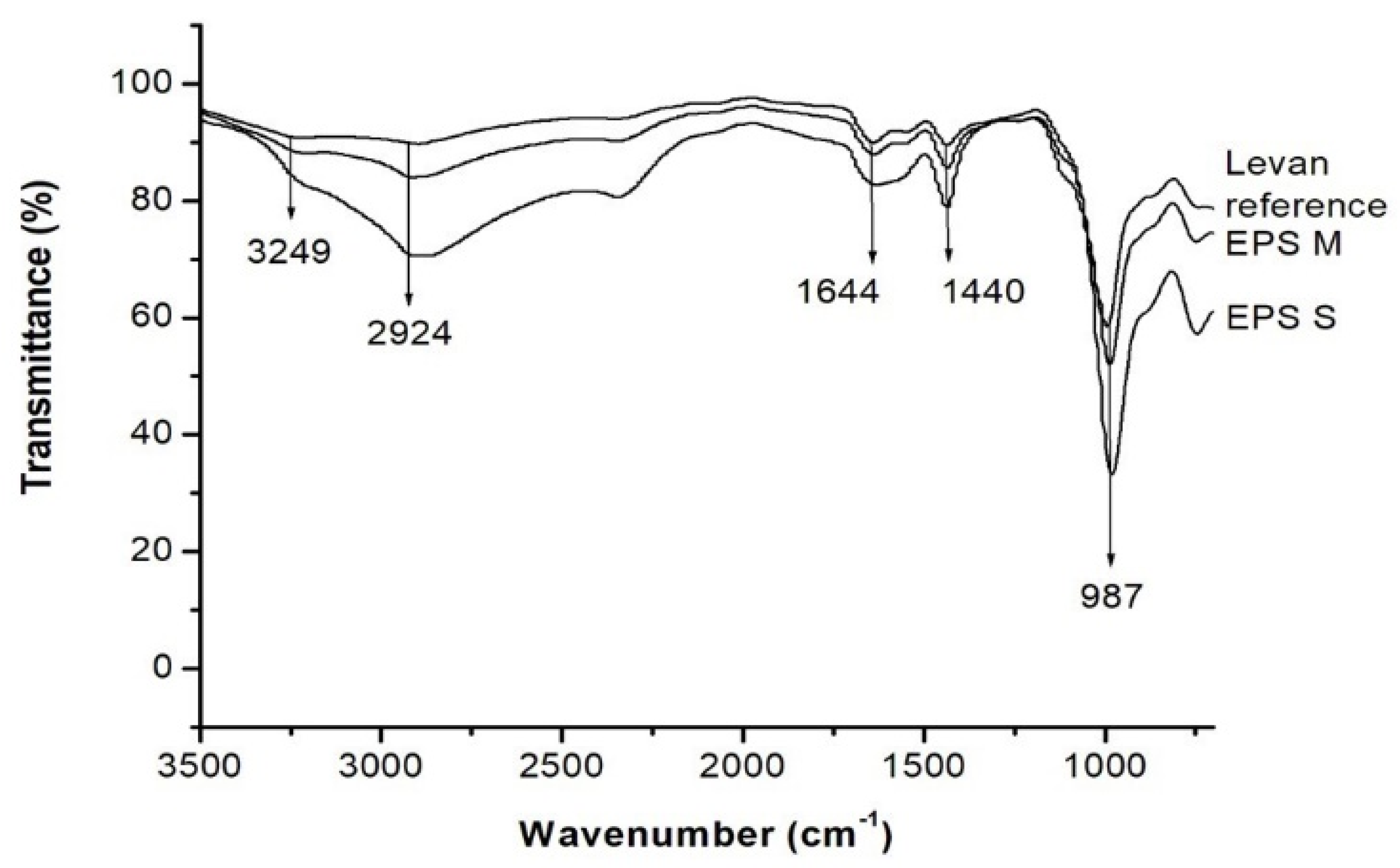 Molecules 29 01105 g005 Molecules 29 01105 g005