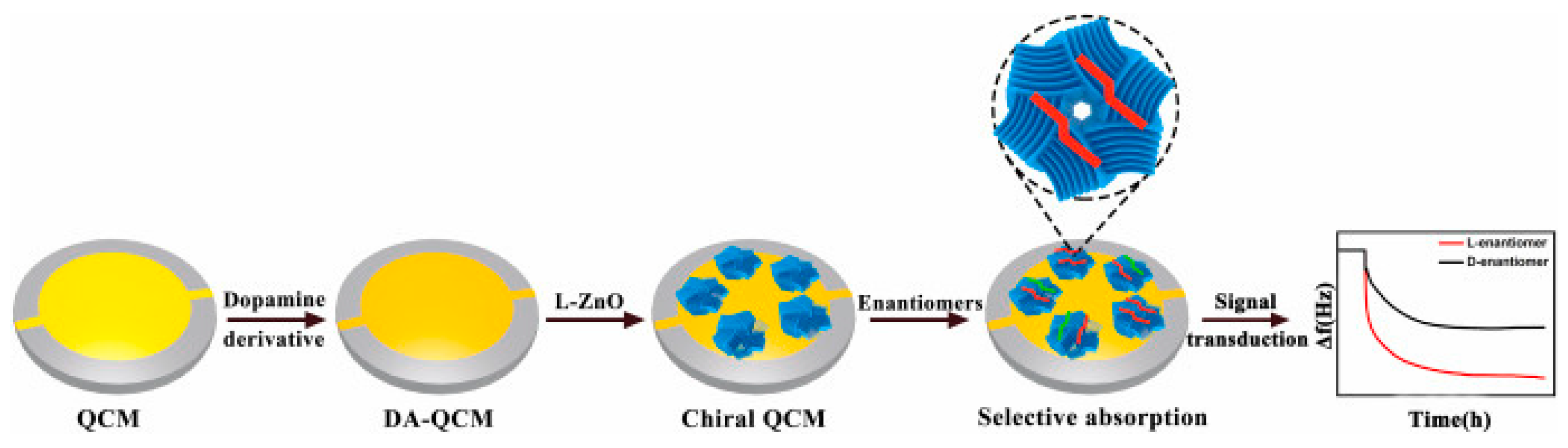 Molecules 29 01106 g008