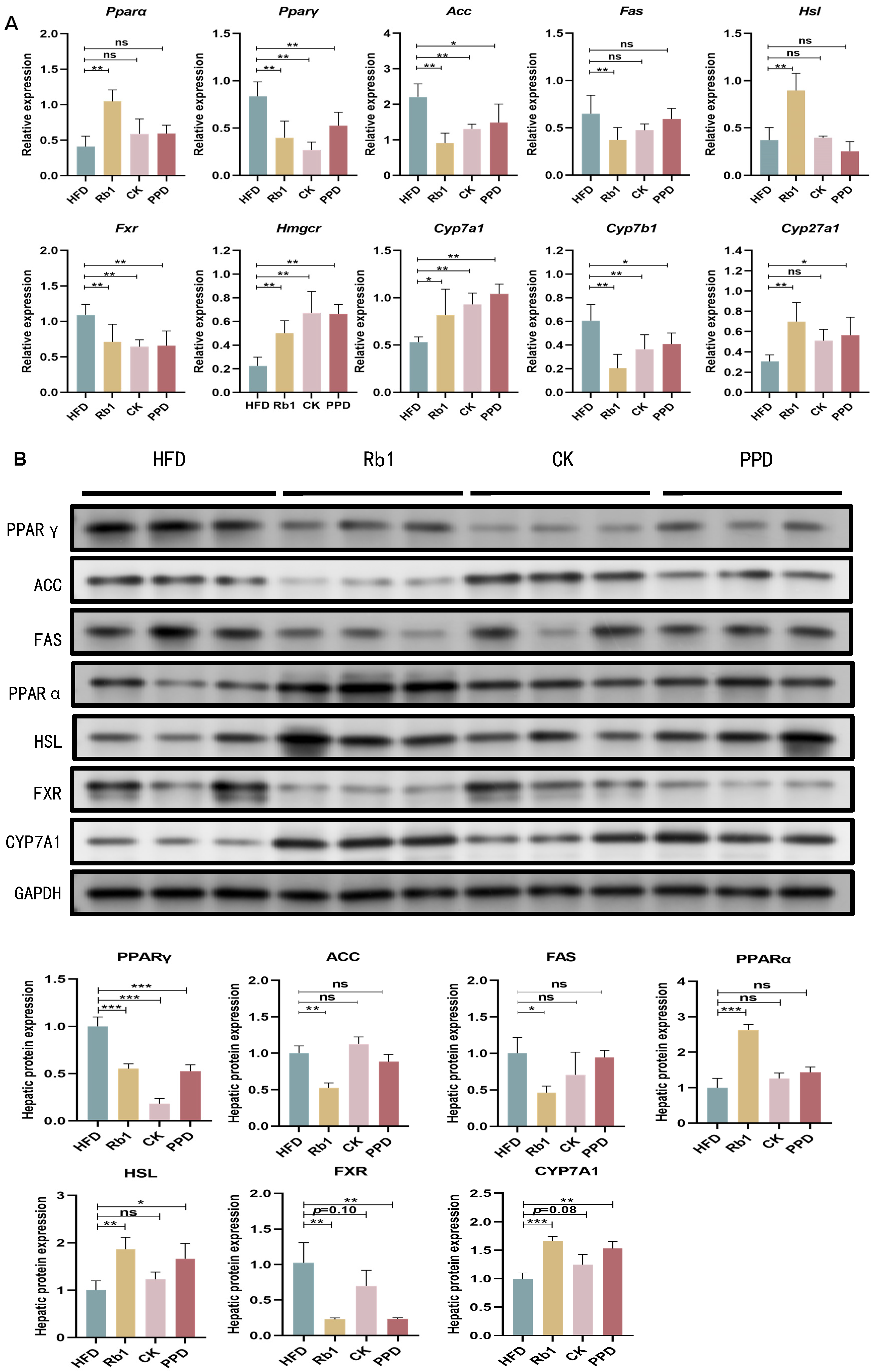 Molecules 29 01108 g004