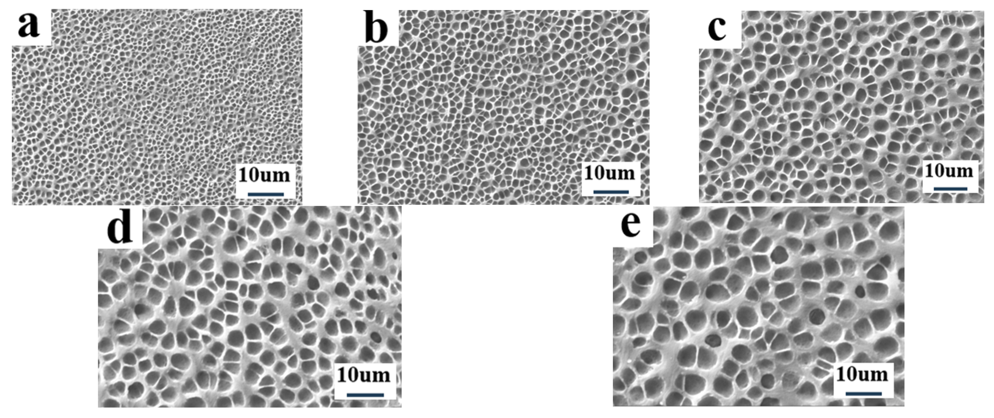 Molecules 29 01109 g009