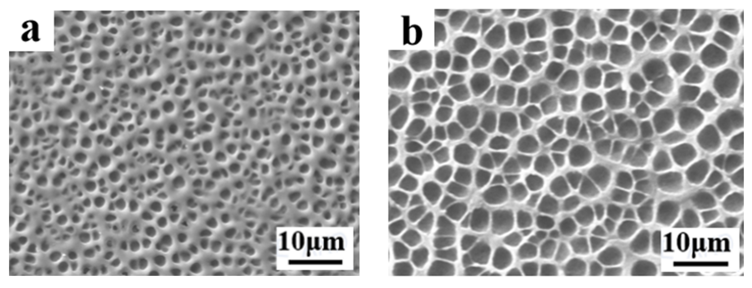 Molecules 29 01109 g012