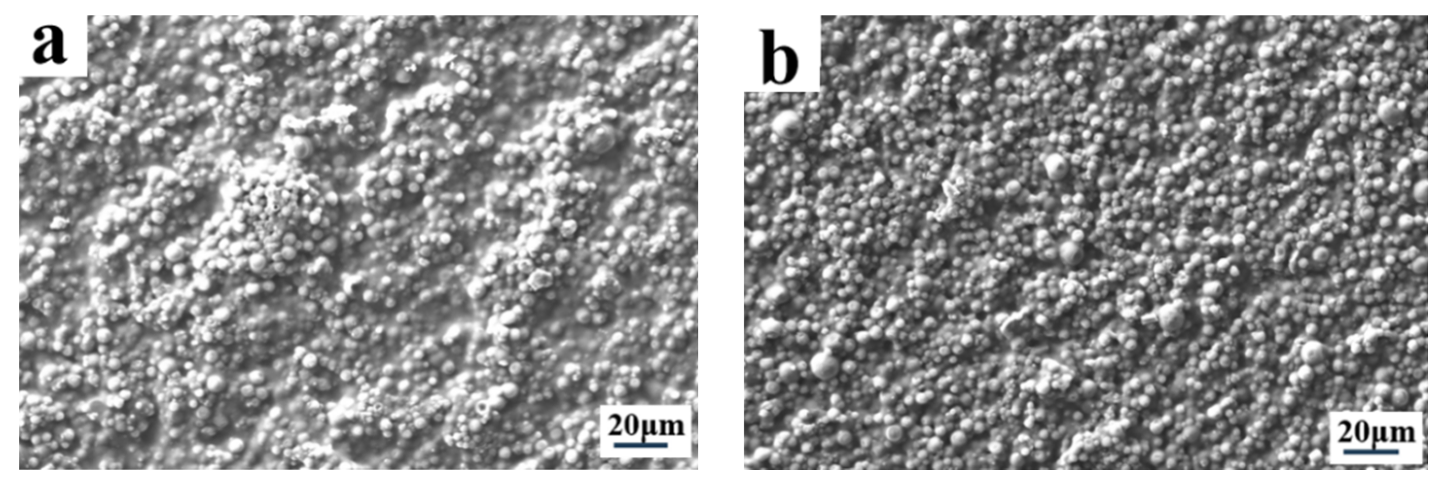 Molecules 29 01109 g017