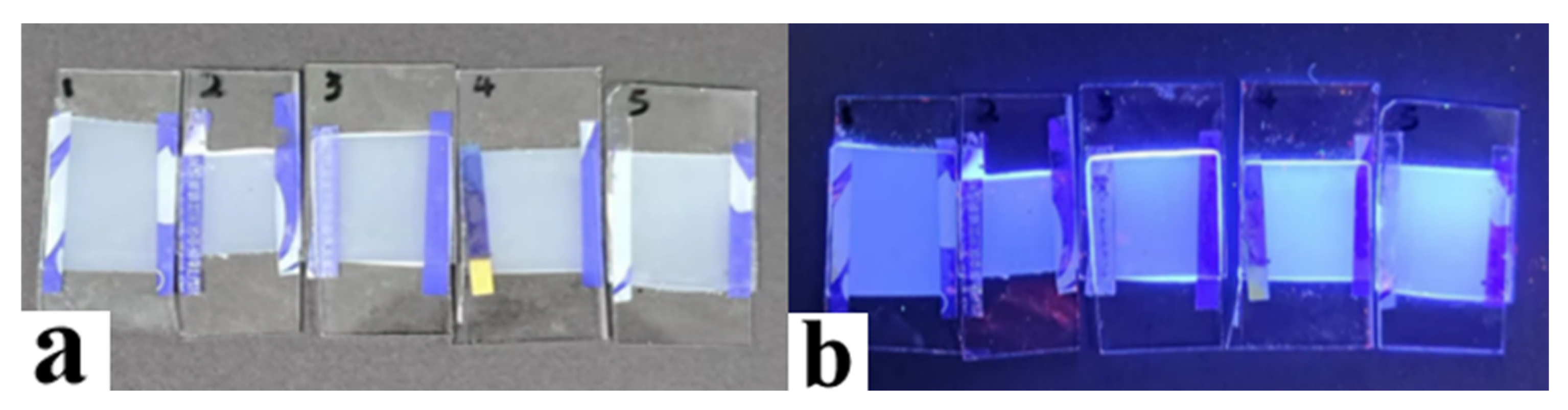 Molecules 29 01109 g019
