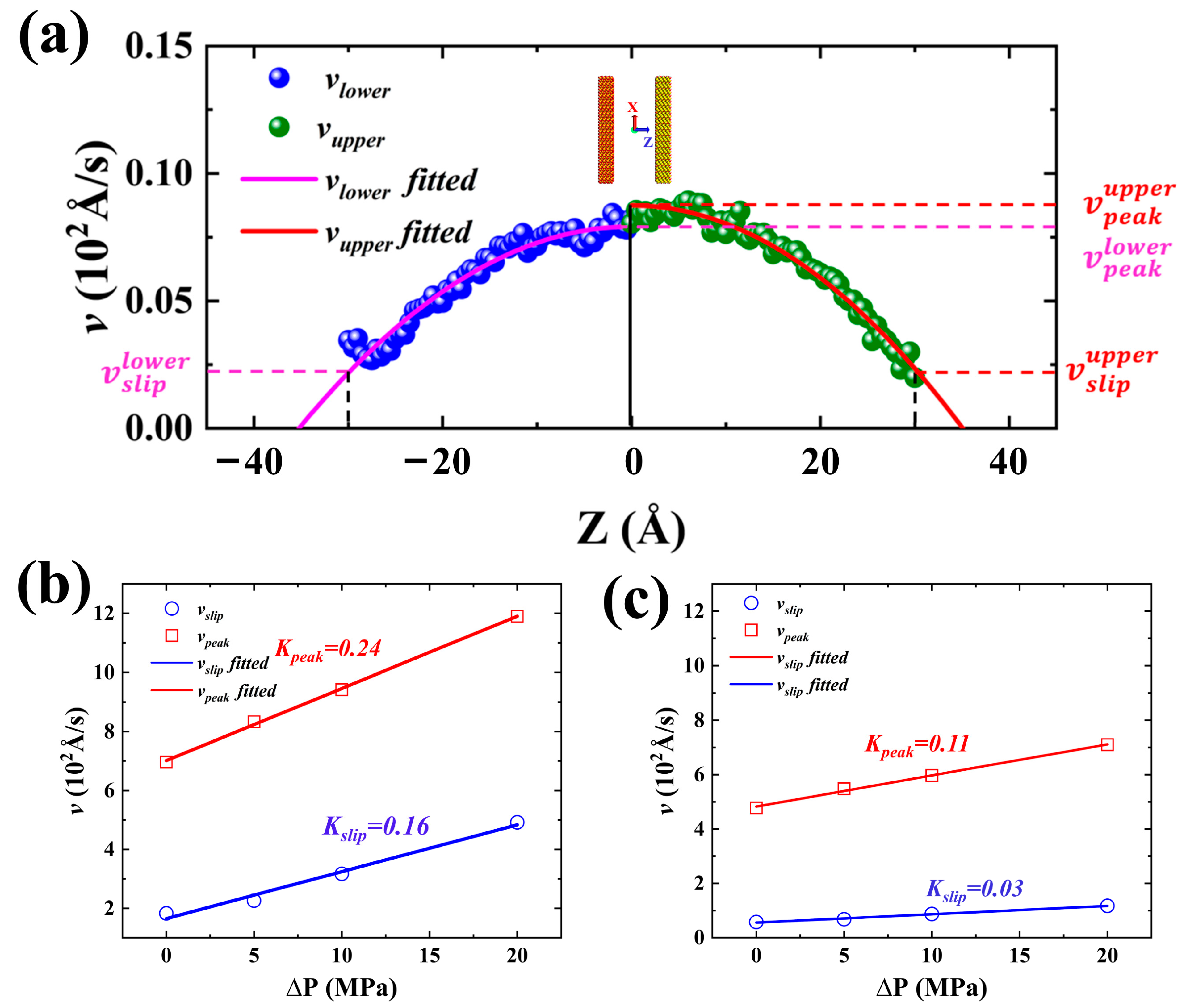 Molecules 29 01112 g011