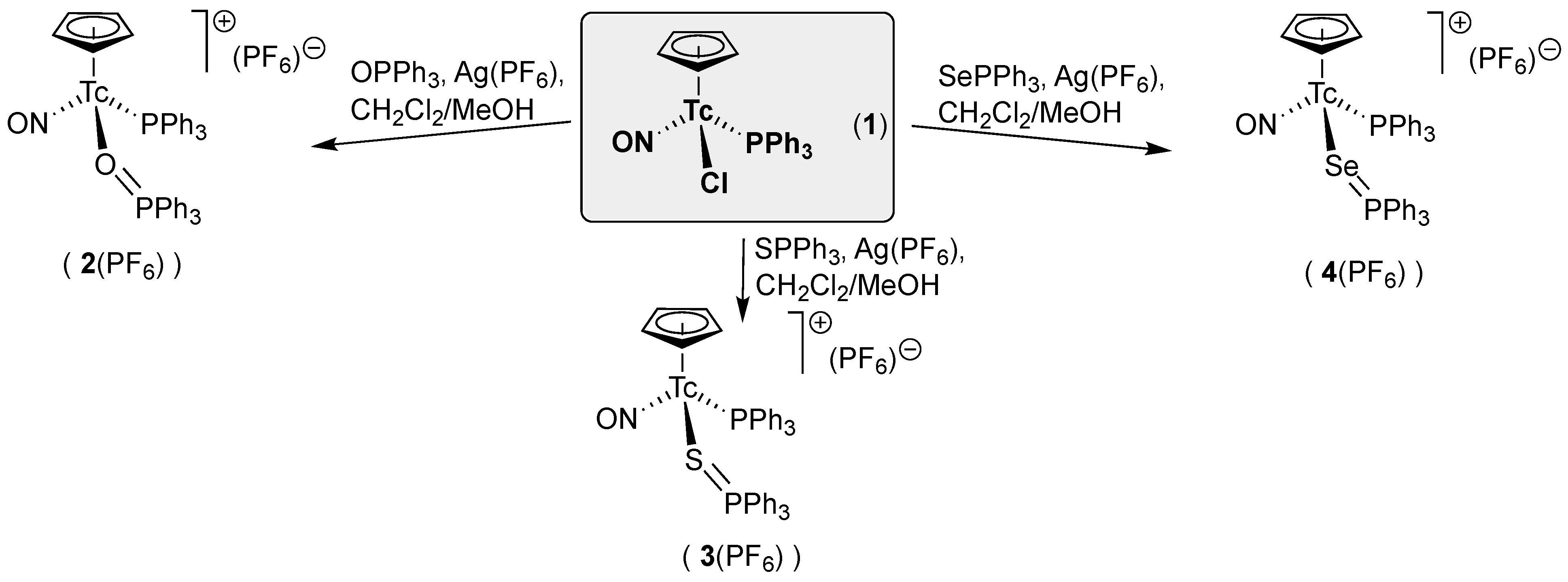 Molecules 29 01114 sch002