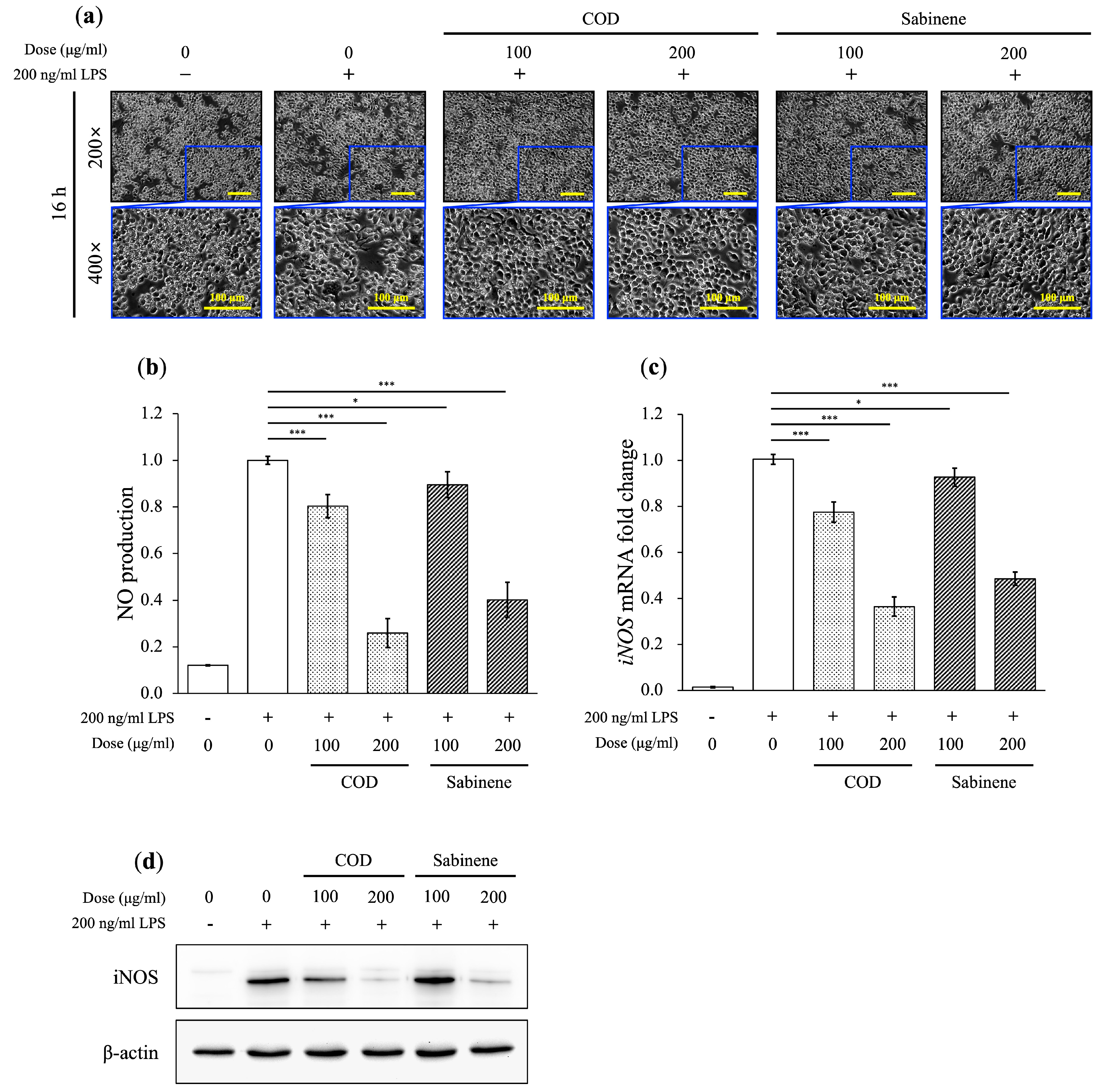Molecules 29 01117 g003