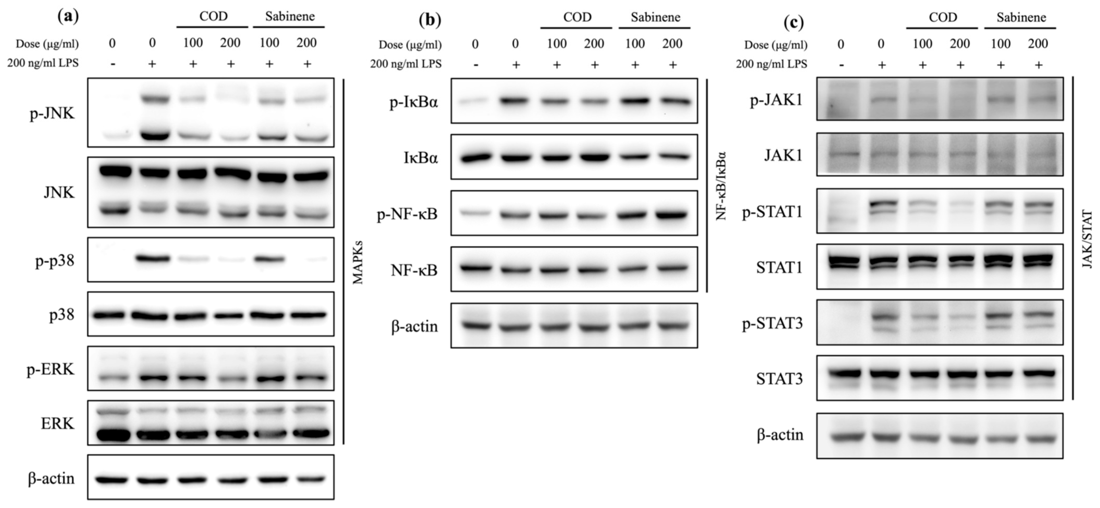 Molecules 29 01117 g005