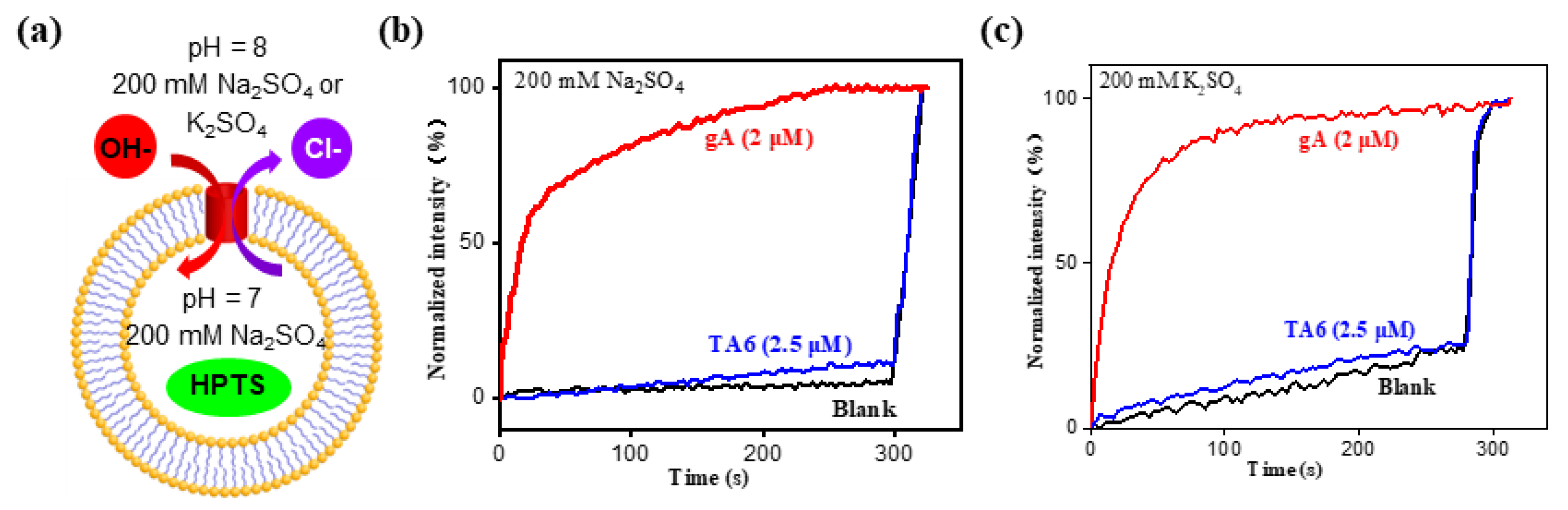 Molecules 29 01118 g003