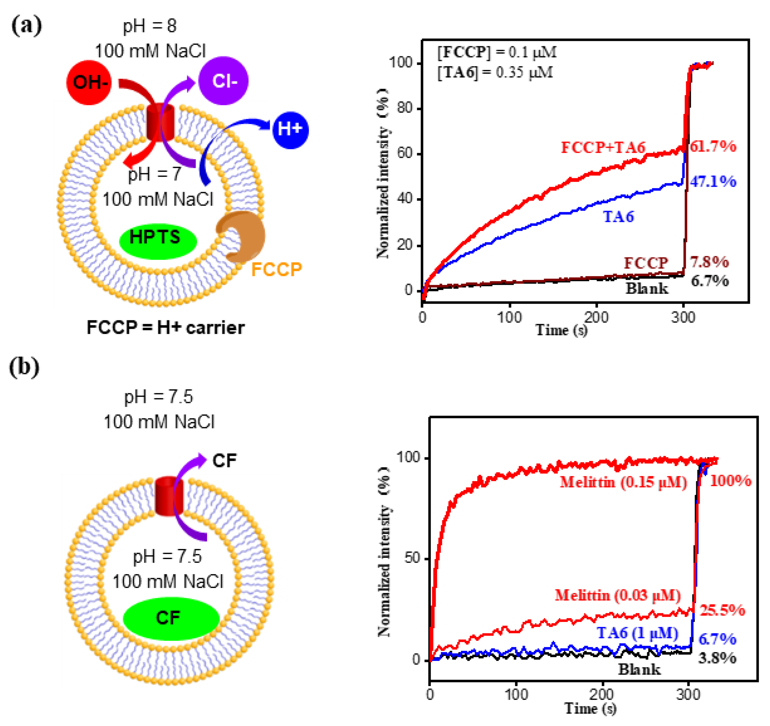 Molecules 29 01118 g004
