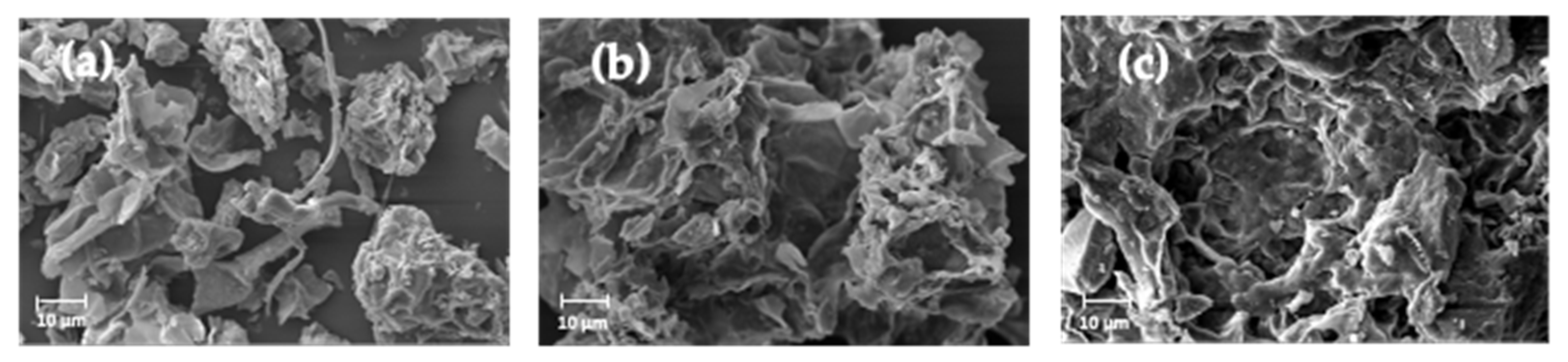 Molecules 29 01122 g002