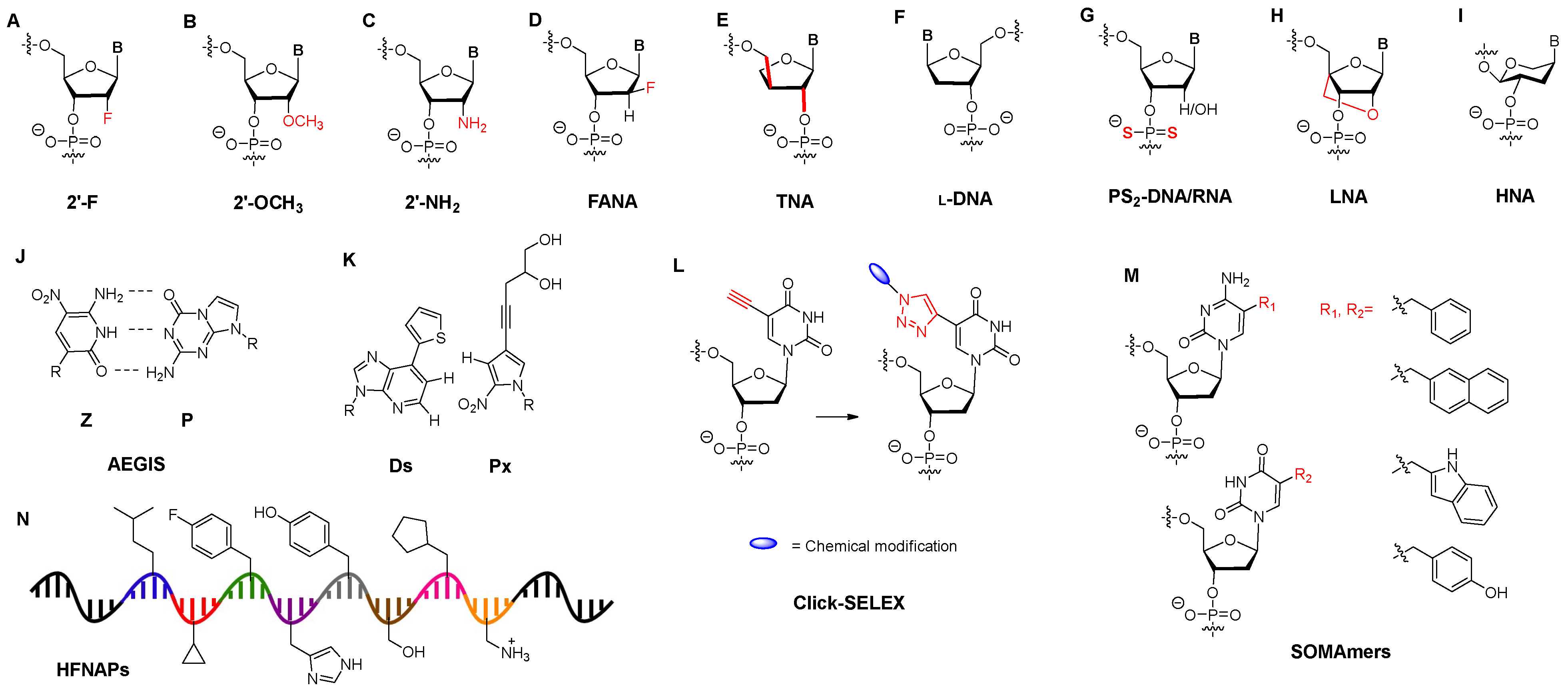Molecules 29 01124 g003
