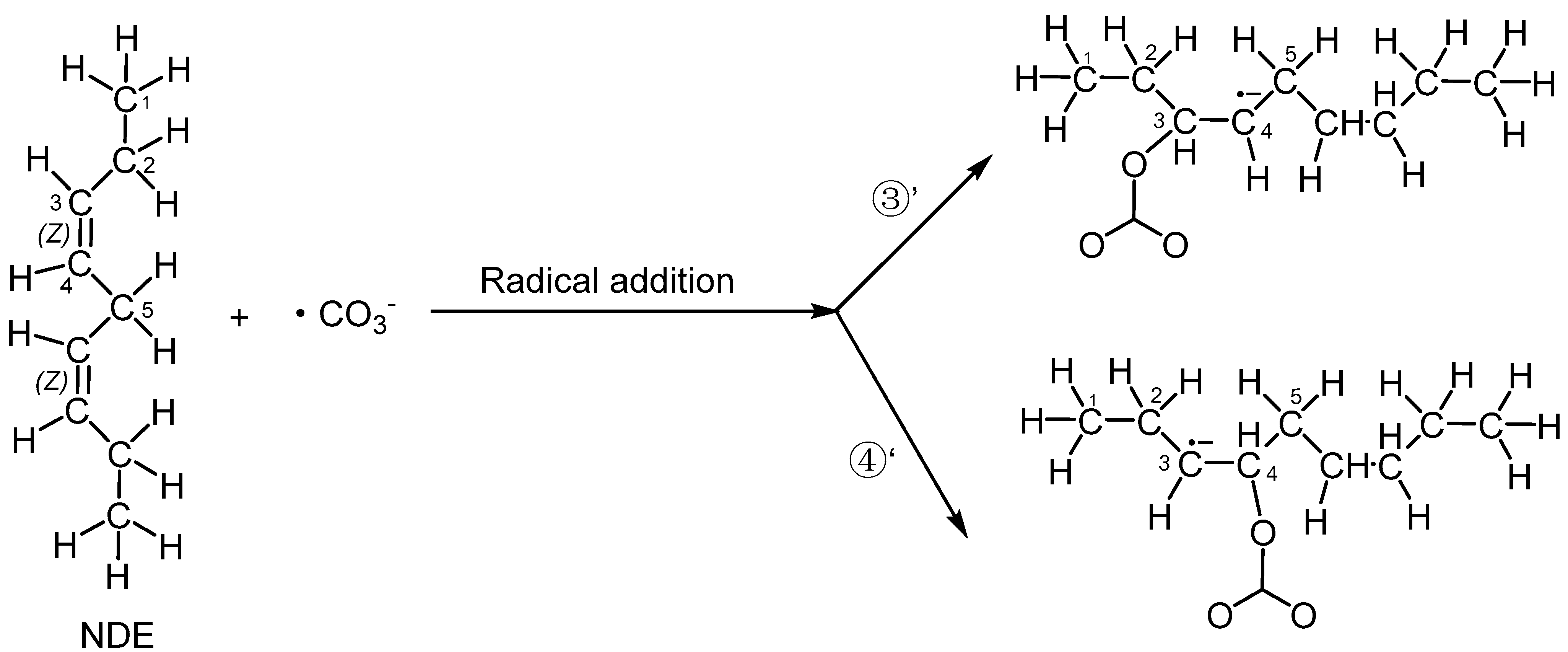 Molecules 29 01125 g004