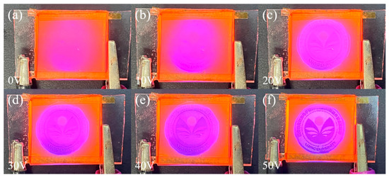 Preparation and Characterization of Bilayer Polymer Preparation and Characterization of Bilayer Polymer