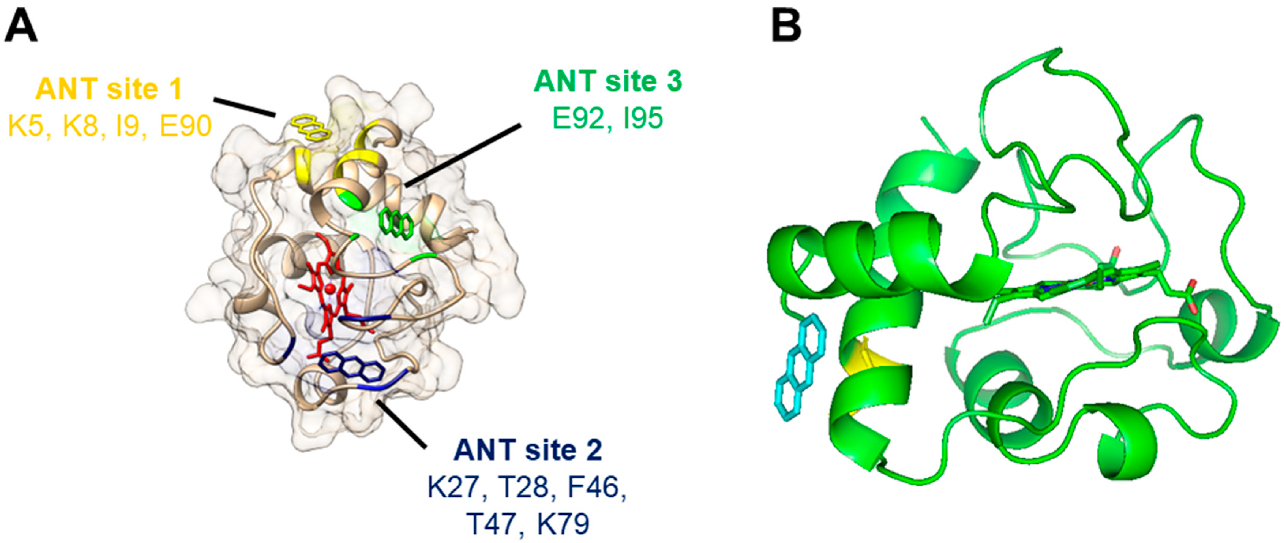 Molecules 29 01129 g006