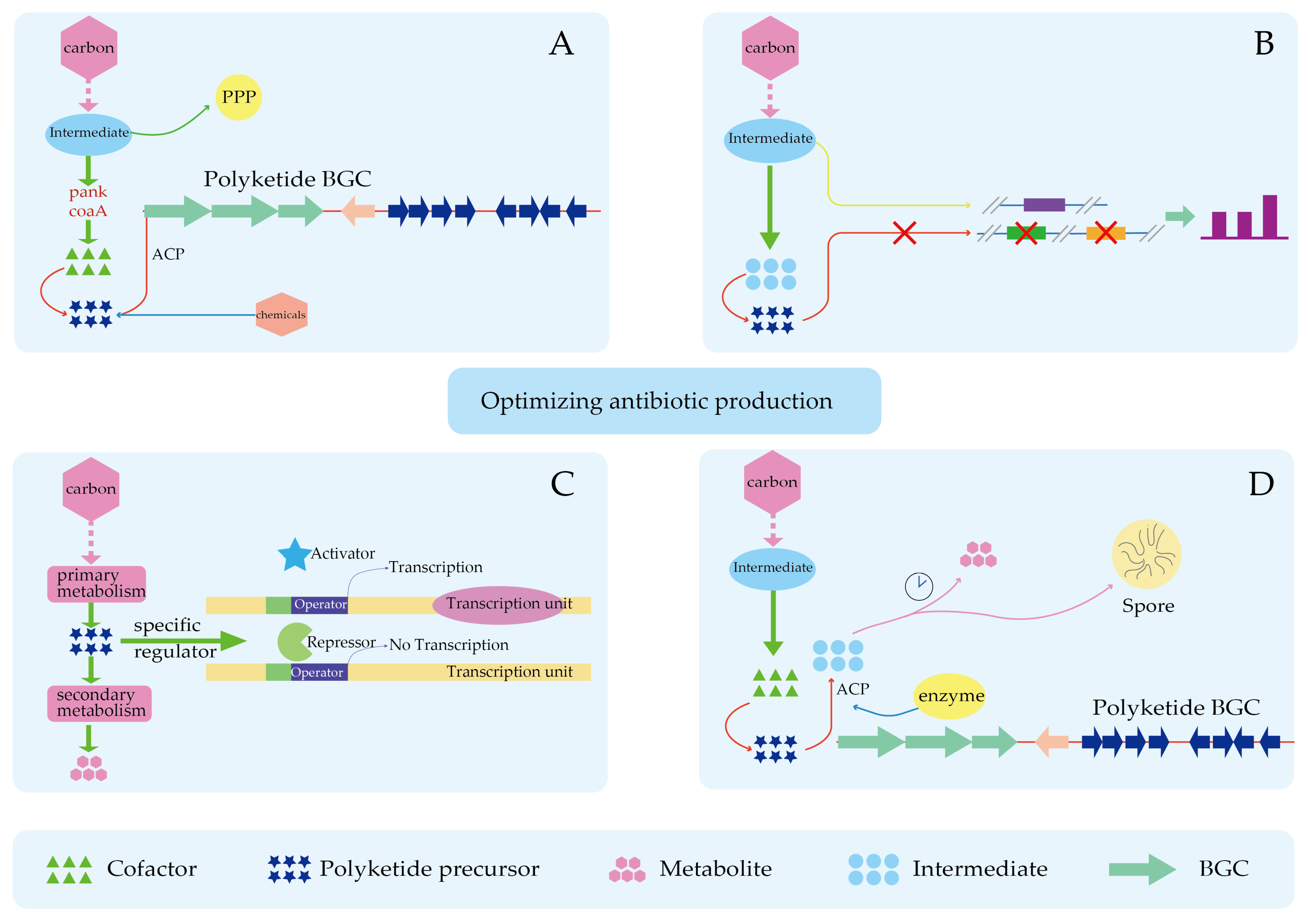 Molecules 29 01132 g005