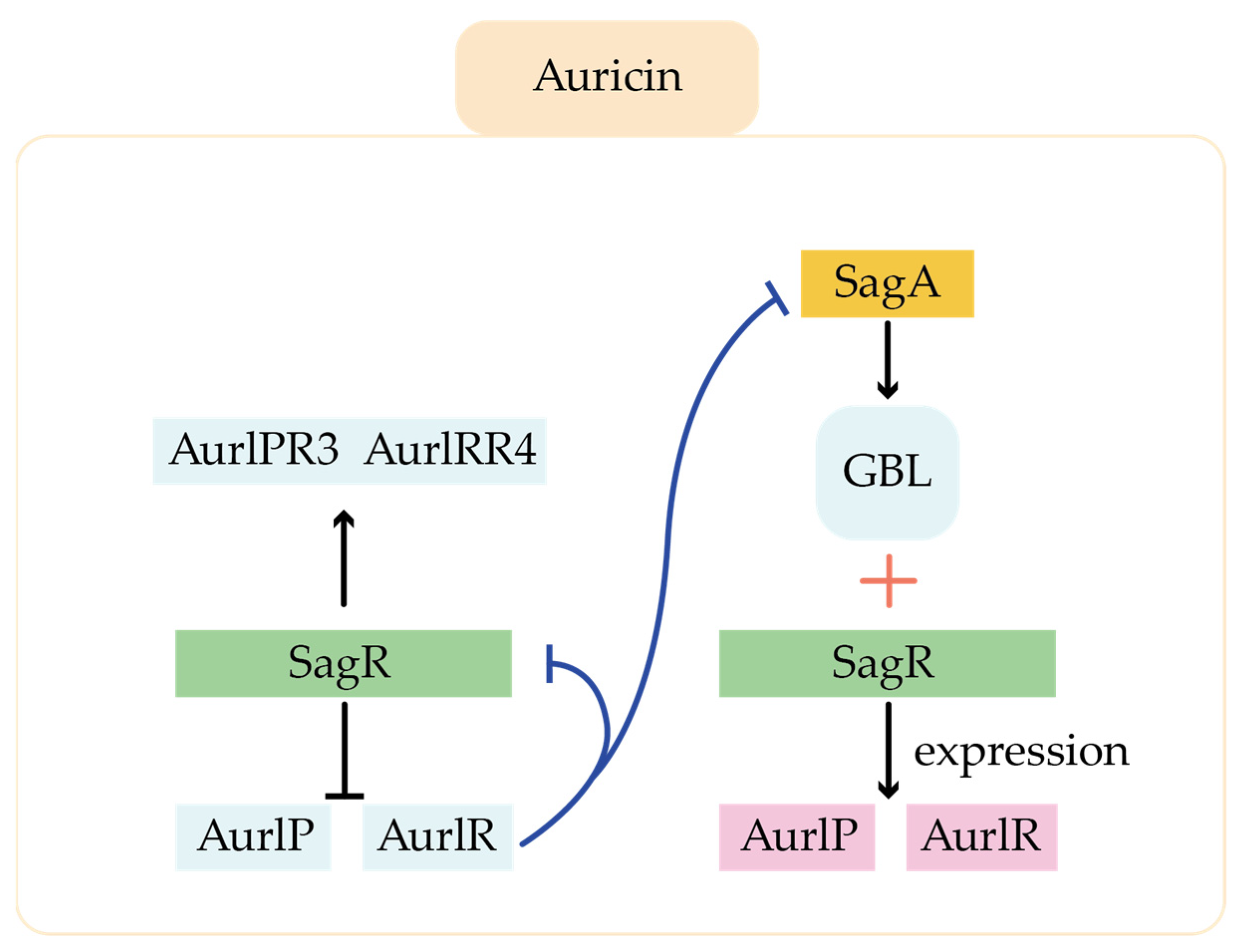 Molecules 29 01132 g008