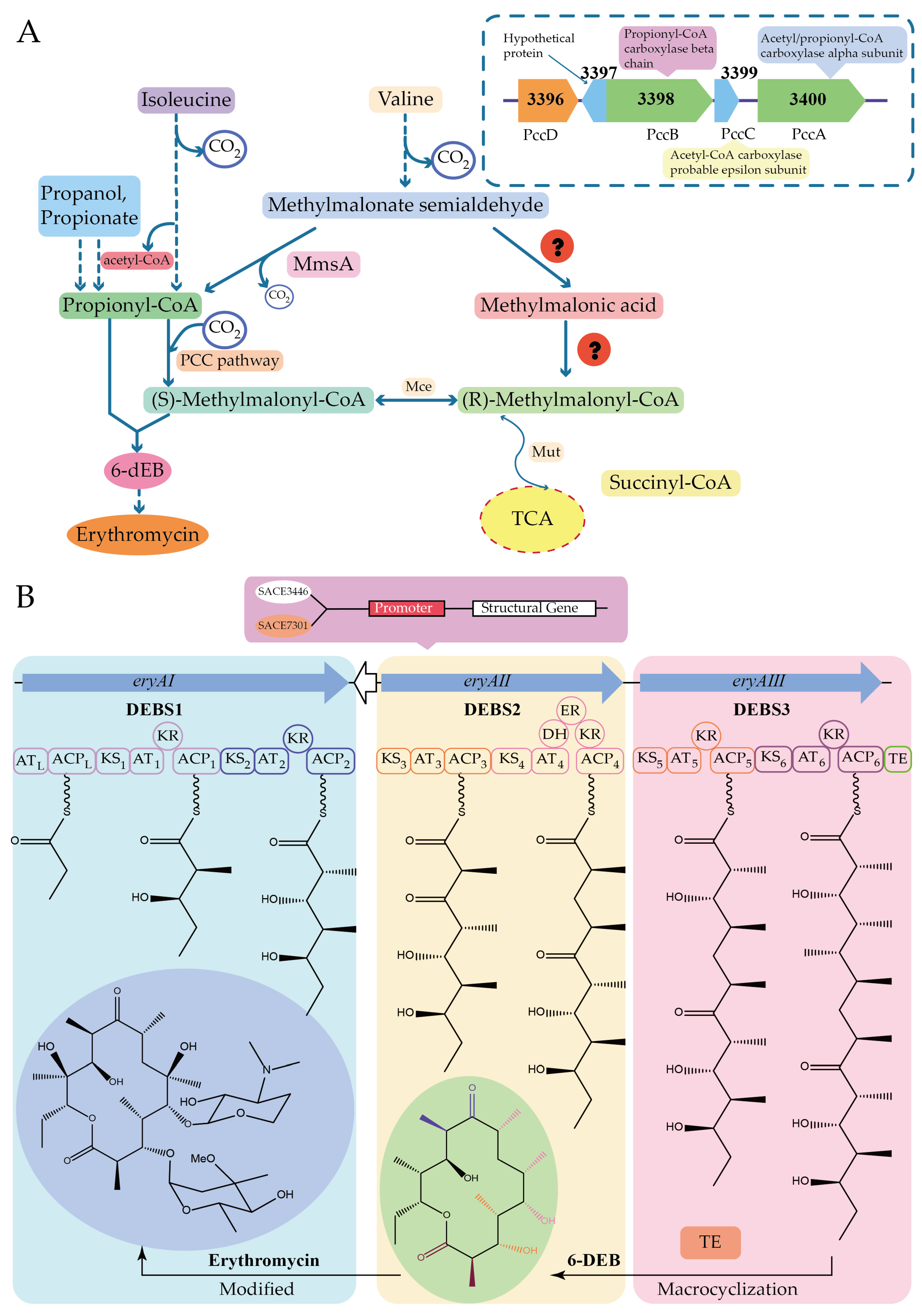 Molecules 29 01132 g009