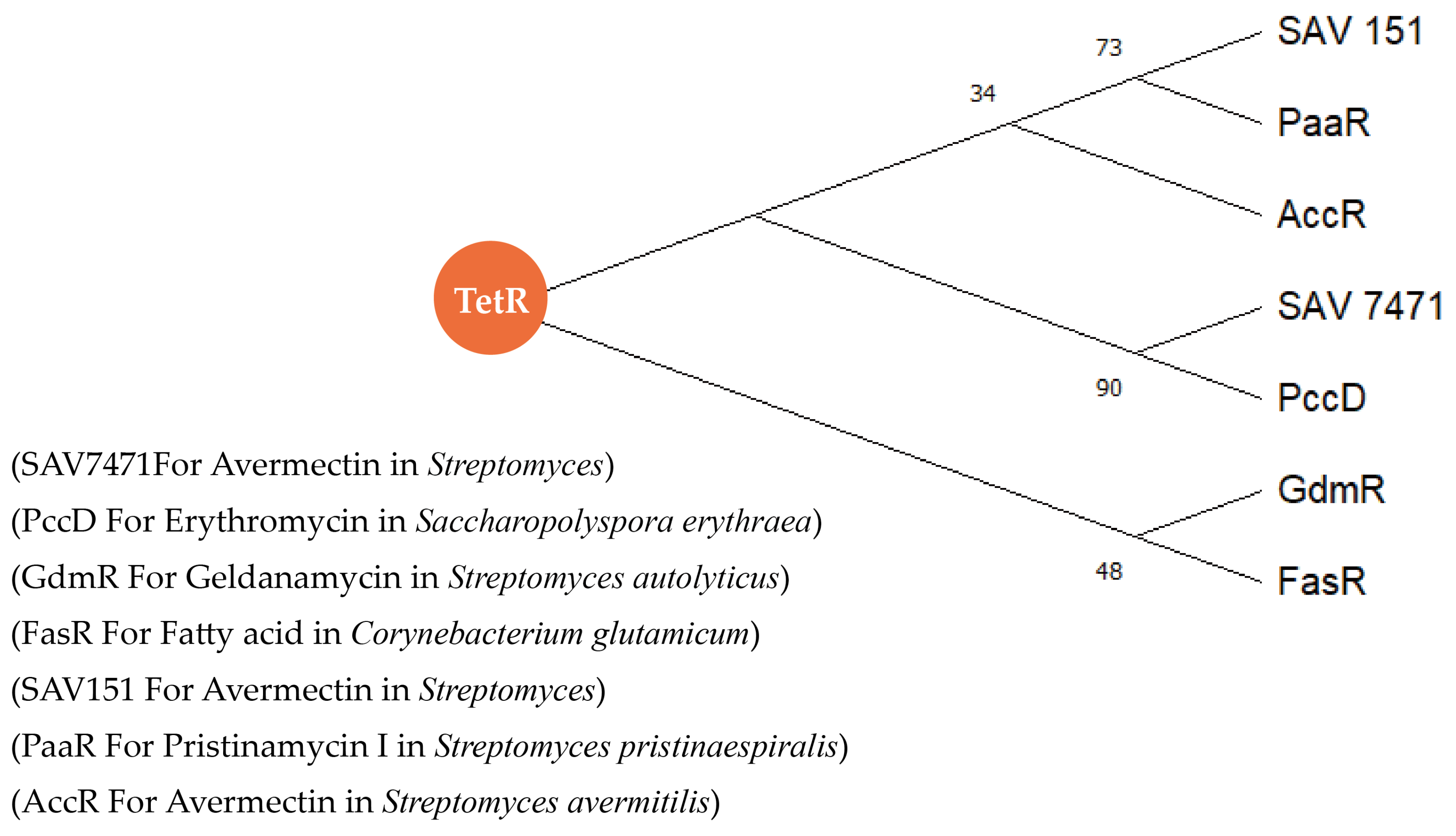 Molecules 29 01132 g010