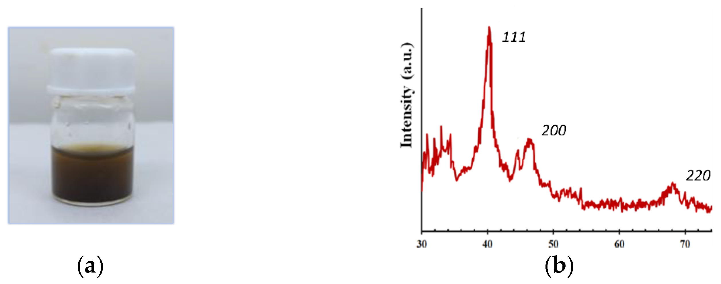 Molecules 29 01138 g002