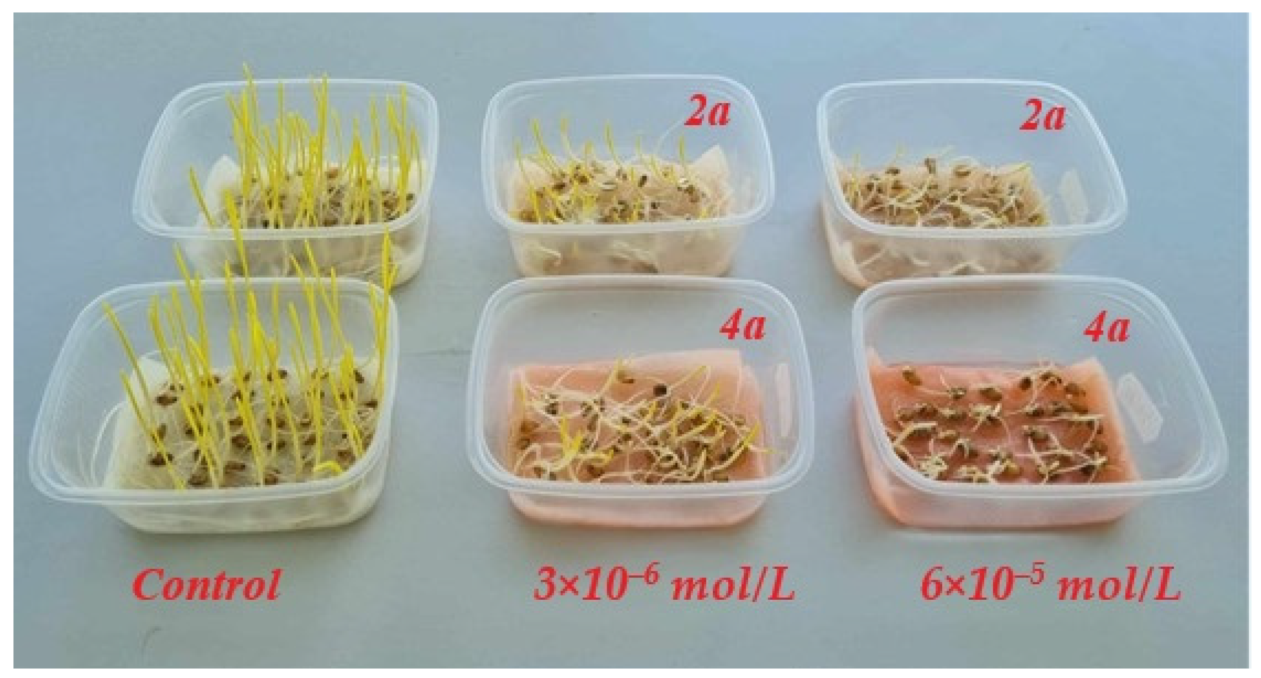 Molecules 29 01143 g005 Molecules 29 01143 g005