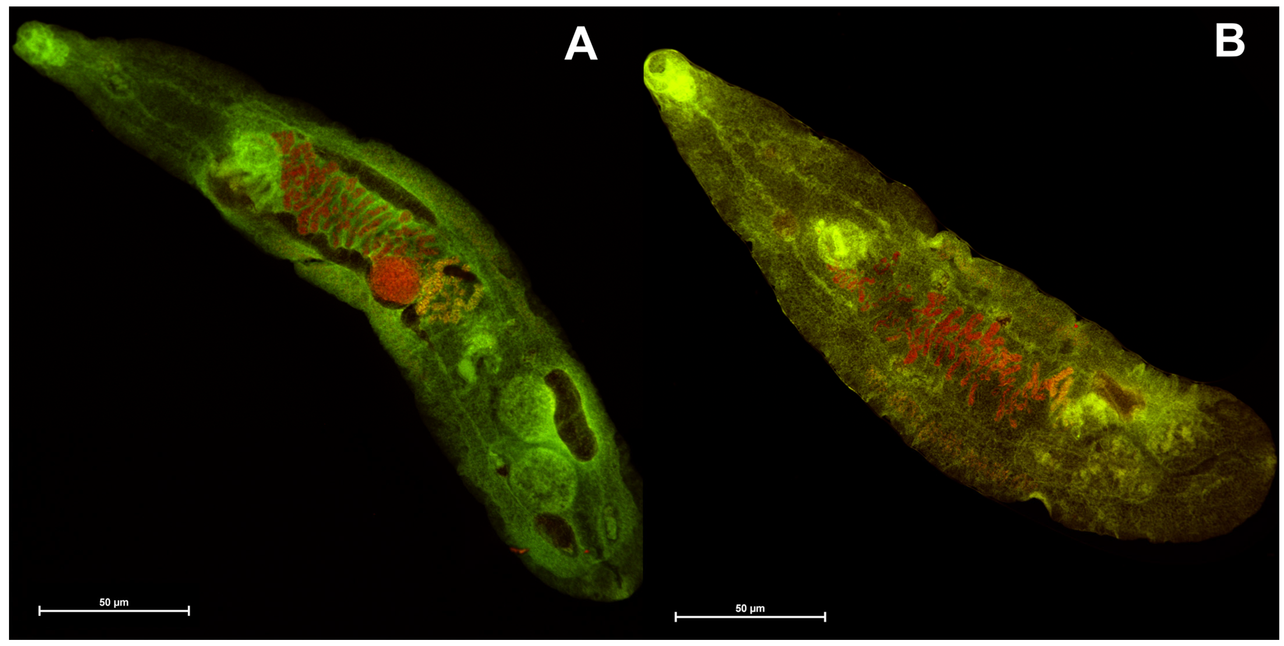 Molecules 29 01143 g007 Molecules 29 01143 g007