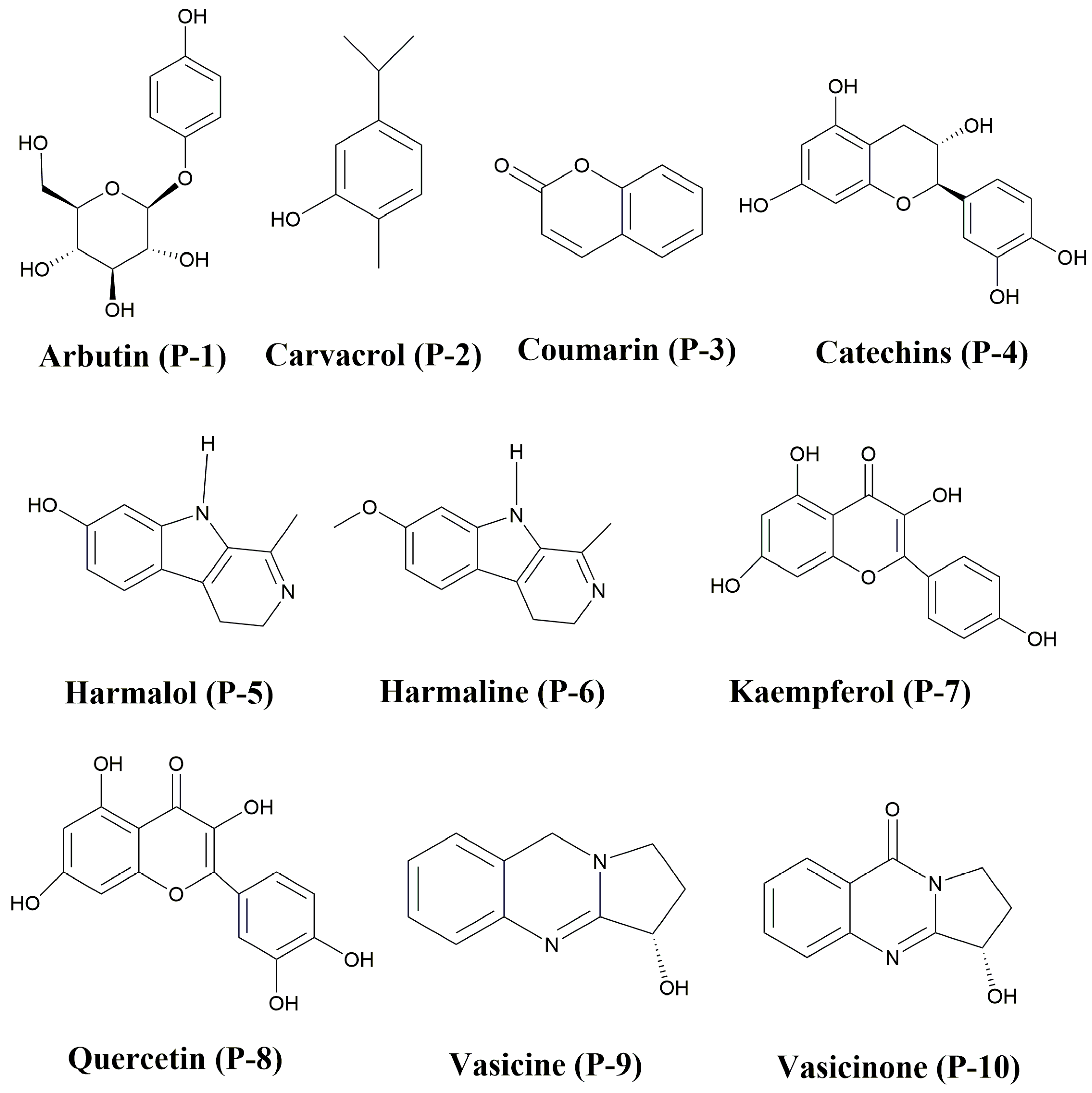 Molecules 29 01144 g001 Molecules 29 01144 g001