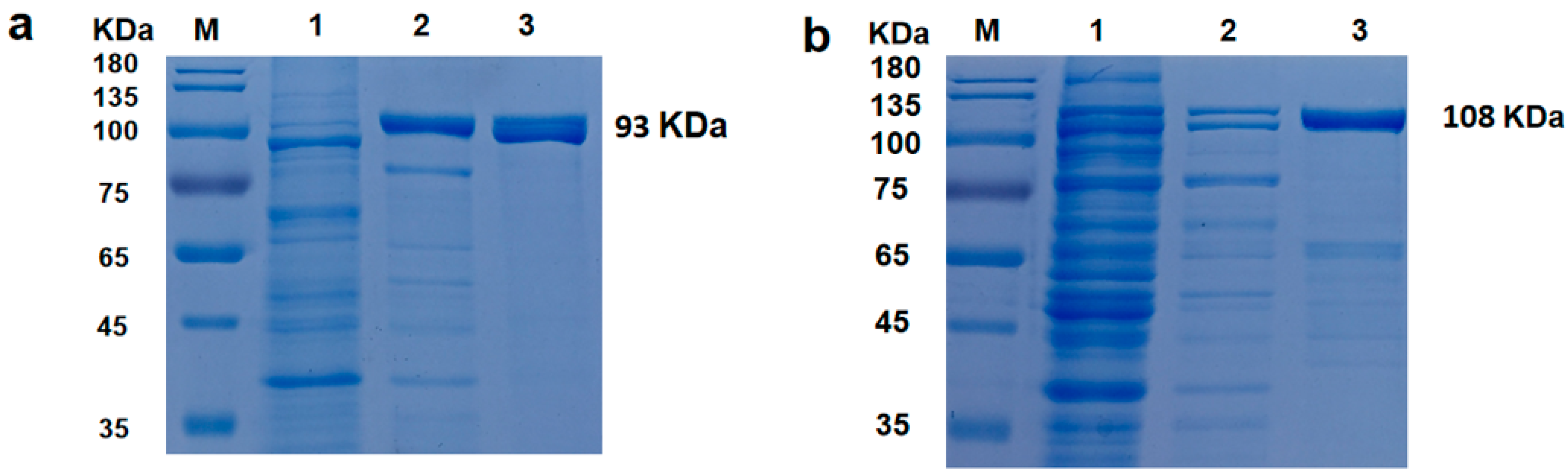 Molecules 29 01145 g001
