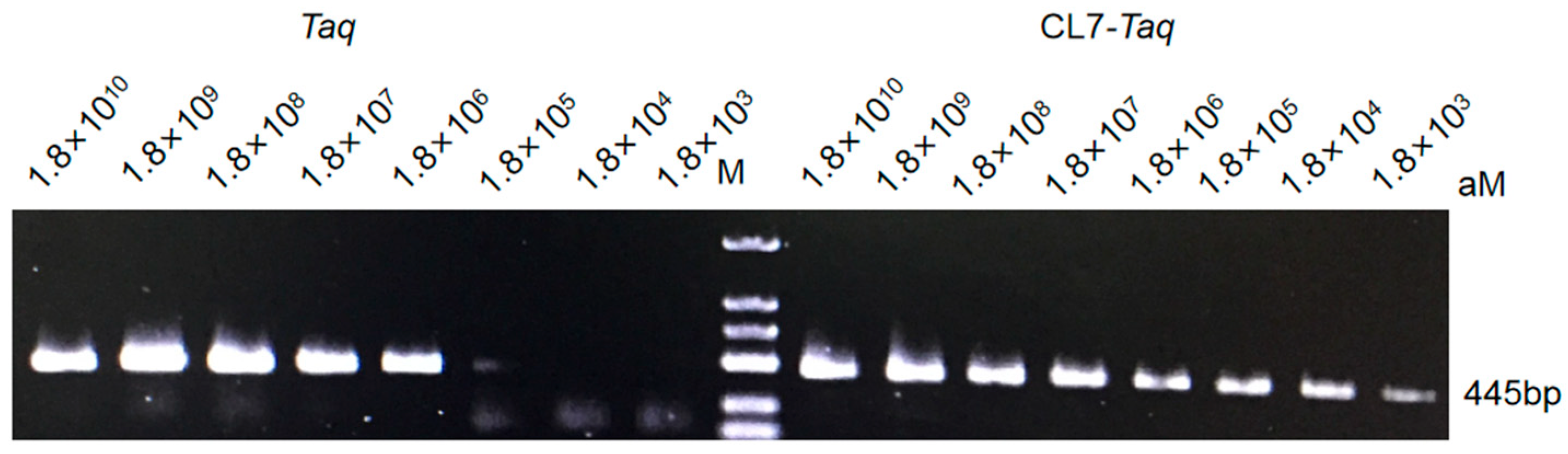 Molecules 29 01145 g004