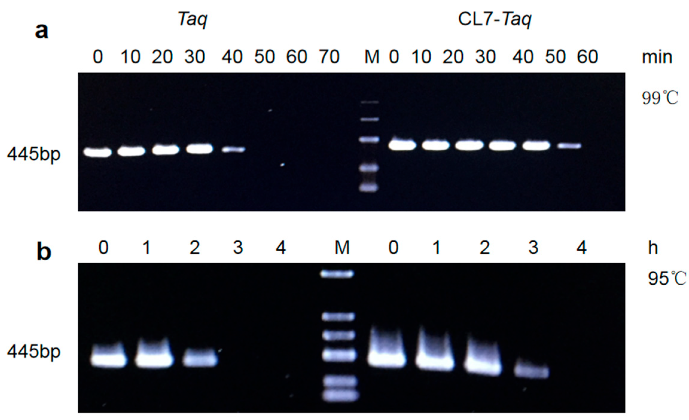 Molecules 29 01145 g005