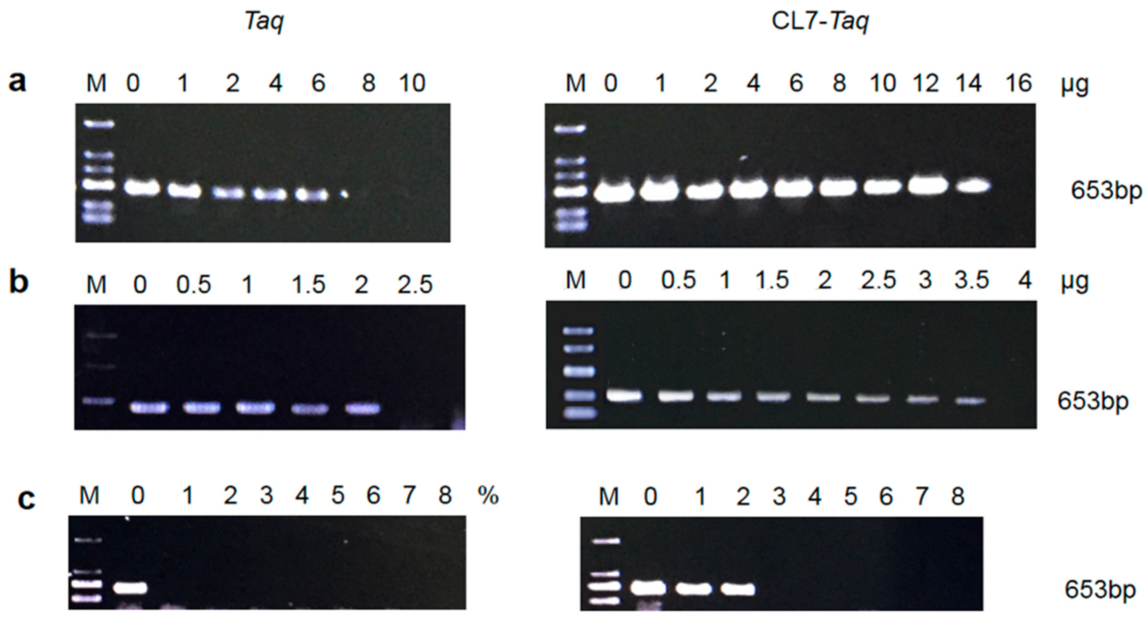 Molecules 29 01145 g006