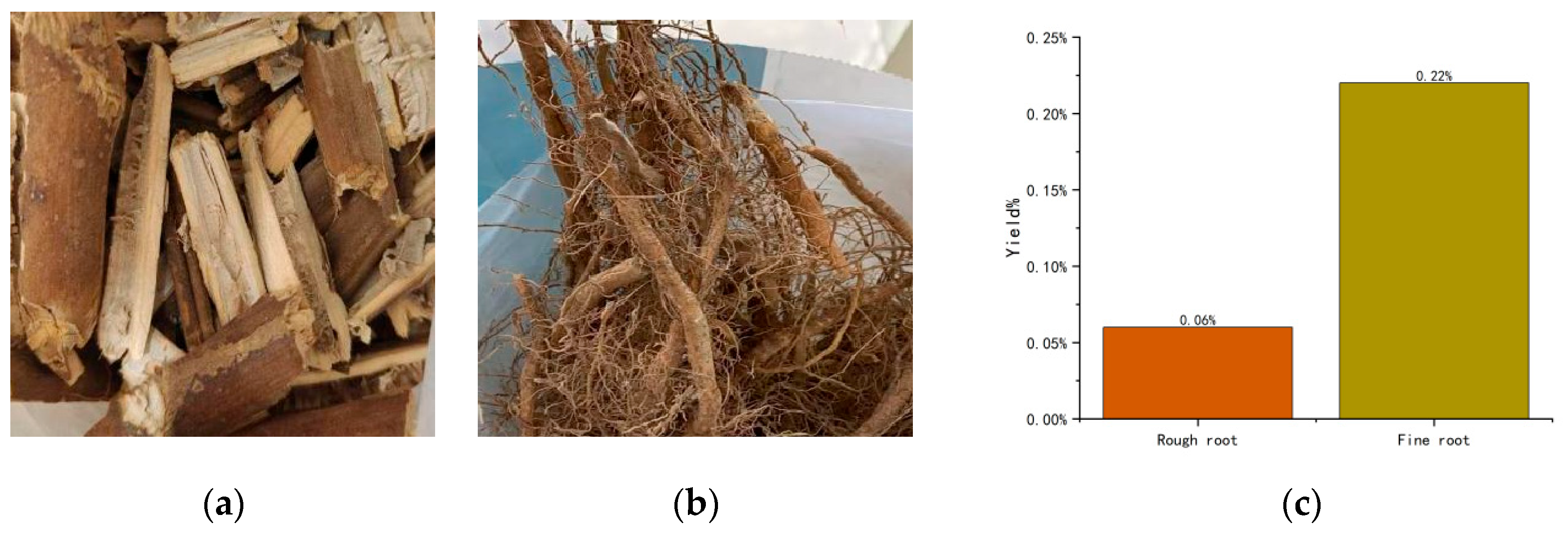 Molecules 29 01147 g001