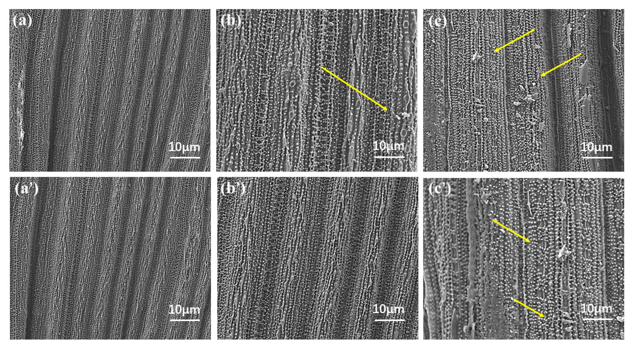 Molecules 29 01148 g007