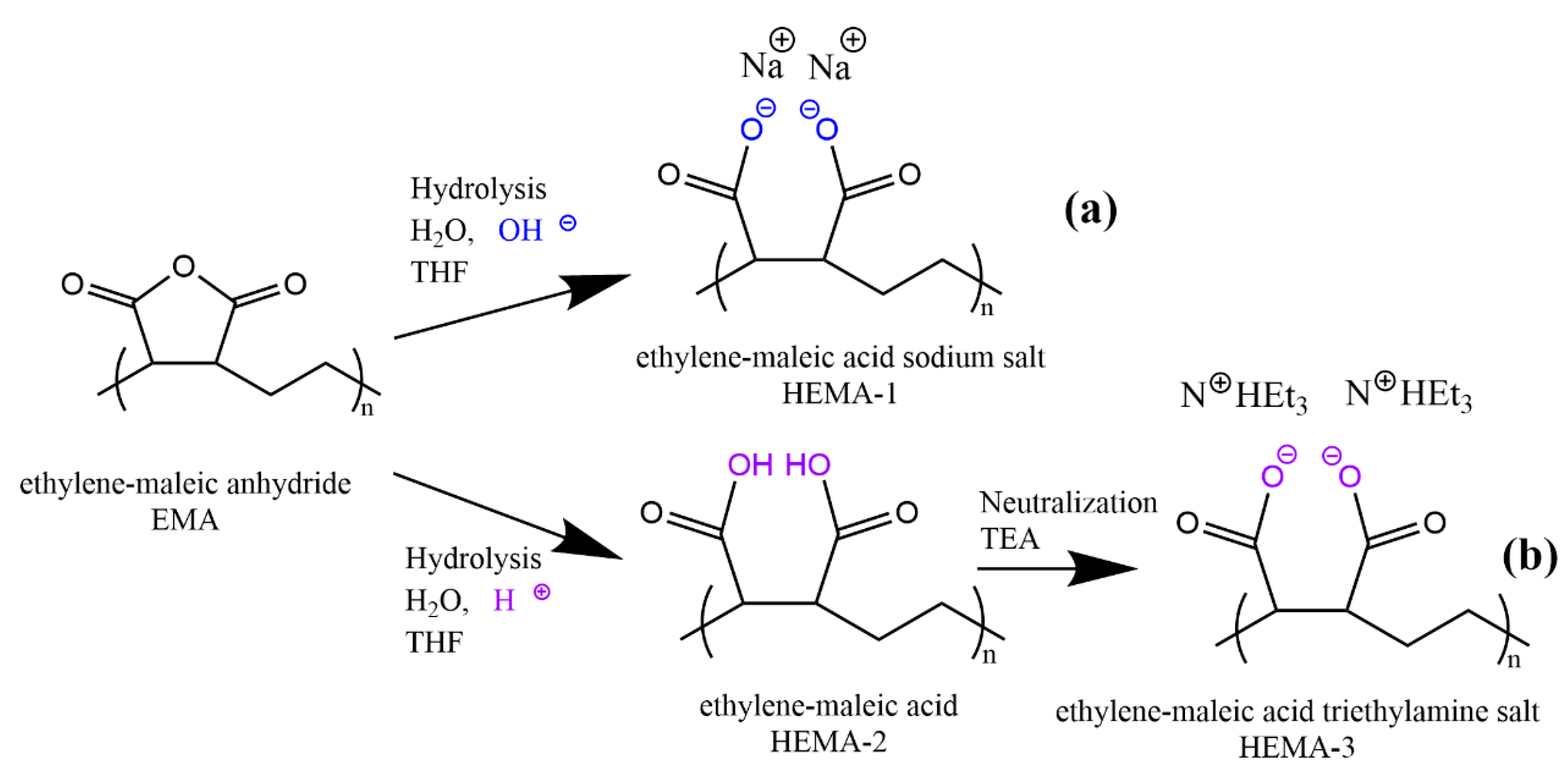 Molecules 29 01148 sch001