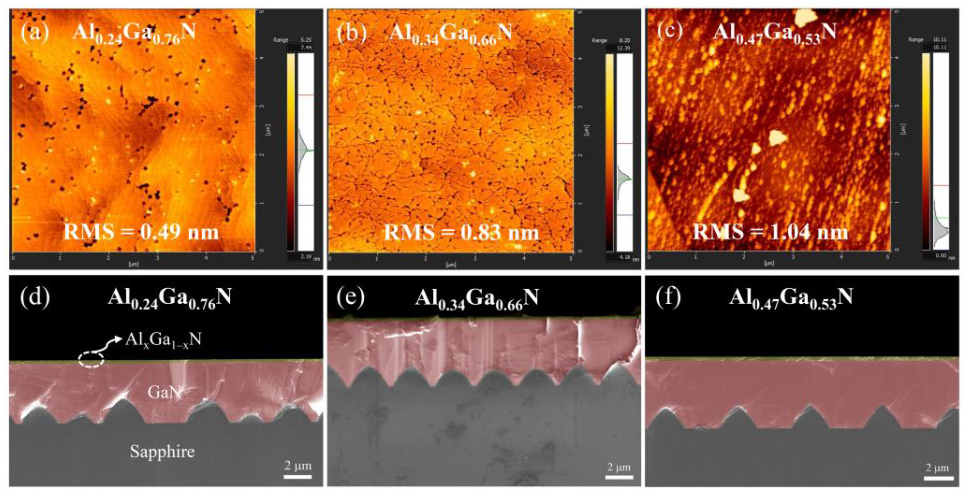 Molecules 29 01152 g002