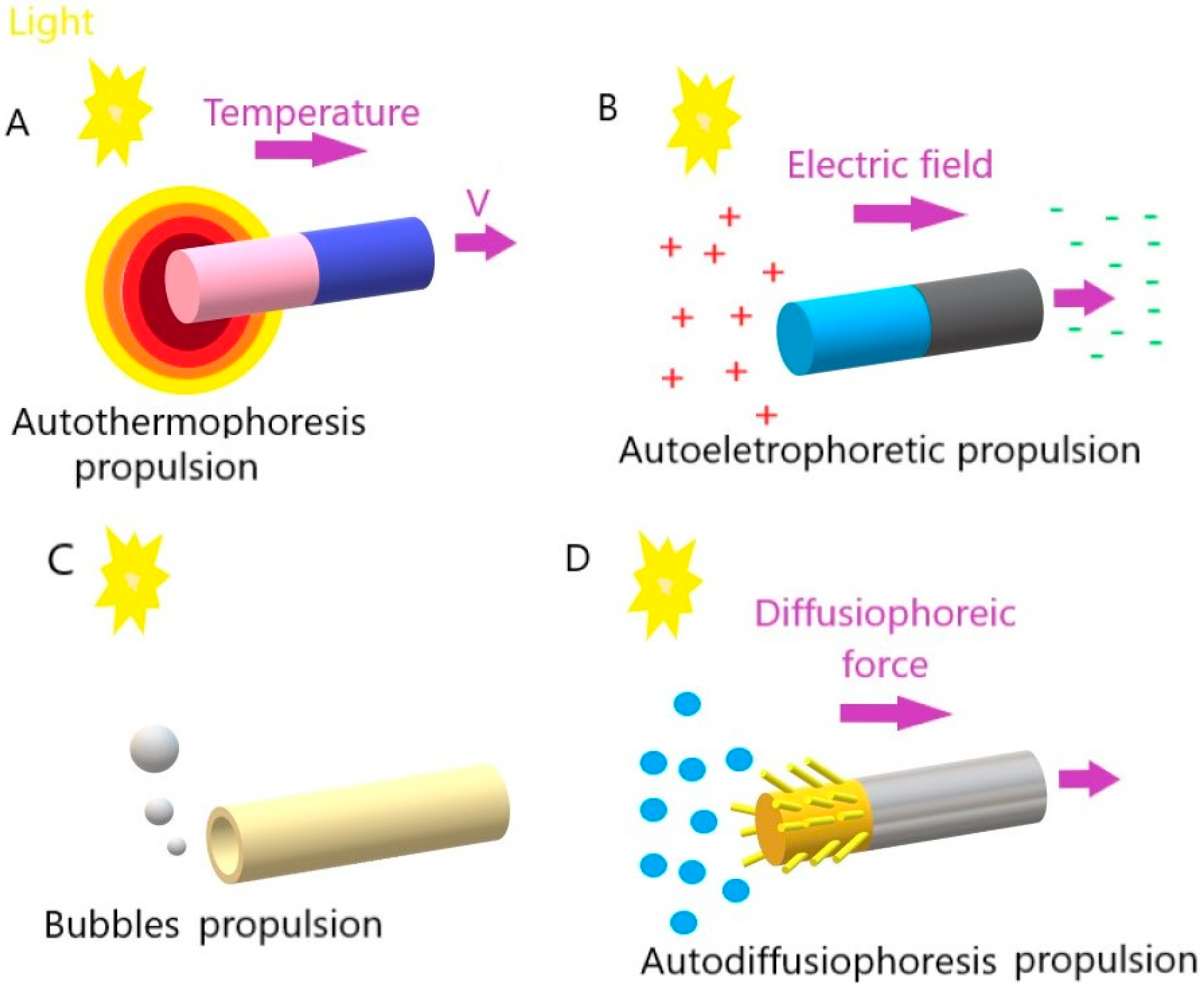 Molecules 29 01154 g001